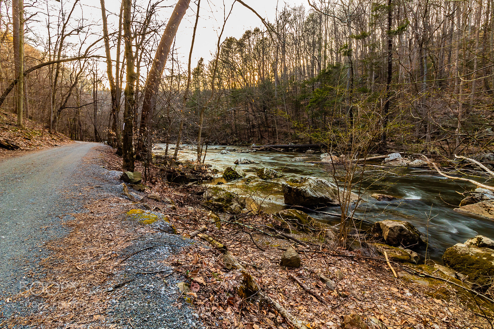 Canon EOS 1300D (EOS Rebel T6 / EOS Kiss X80) sample photo. The path less traveled photography