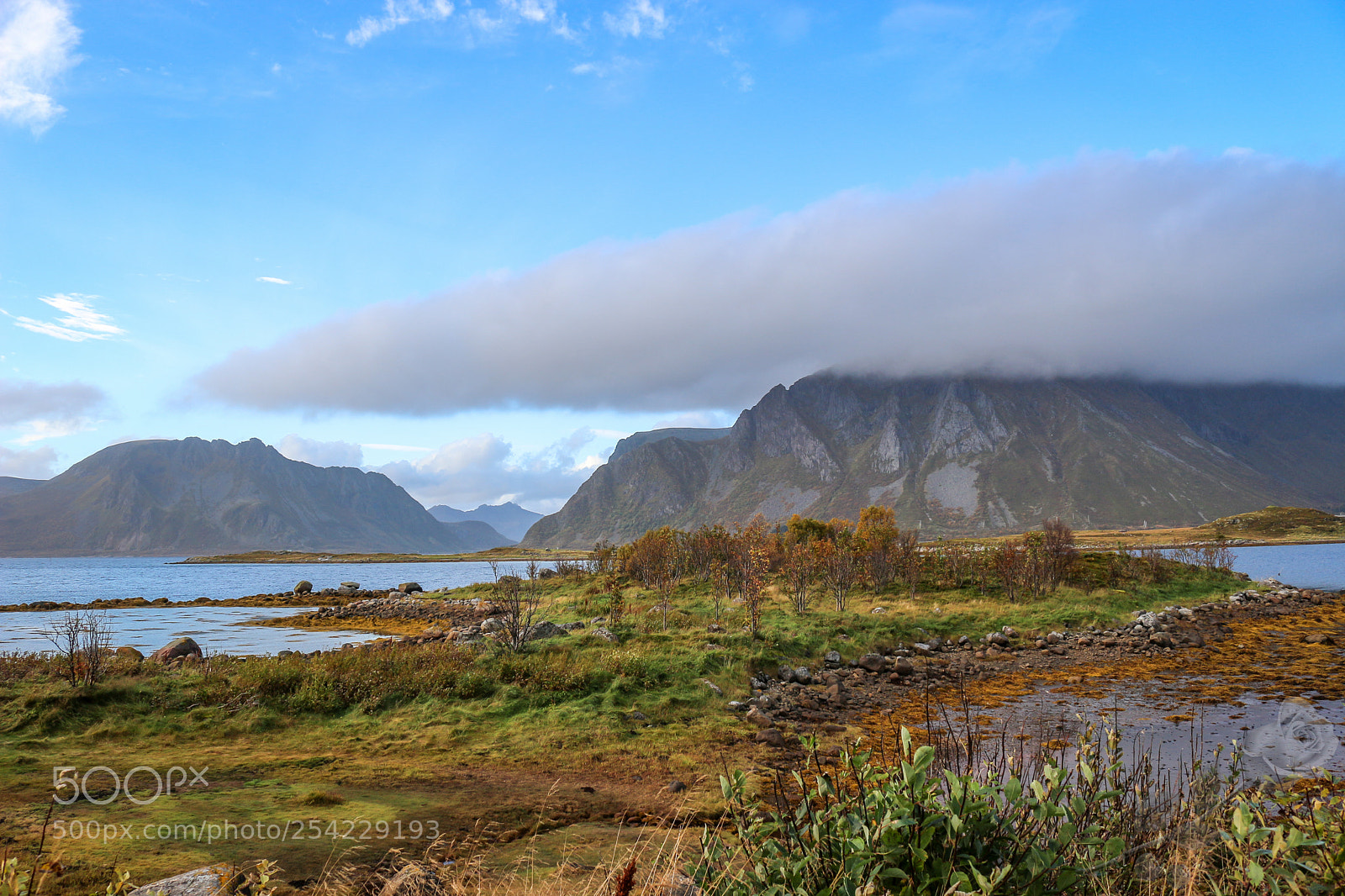 Canon EOS 700D (EOS Rebel T5i / EOS Kiss X7i) sample photo. Finalcutwatermark photography