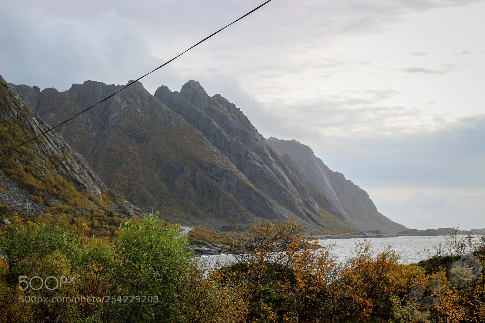 Canon EOS 700D (EOS Rebel T5i / EOS Kiss X7i) sample photo. Finalcutwatermark photography