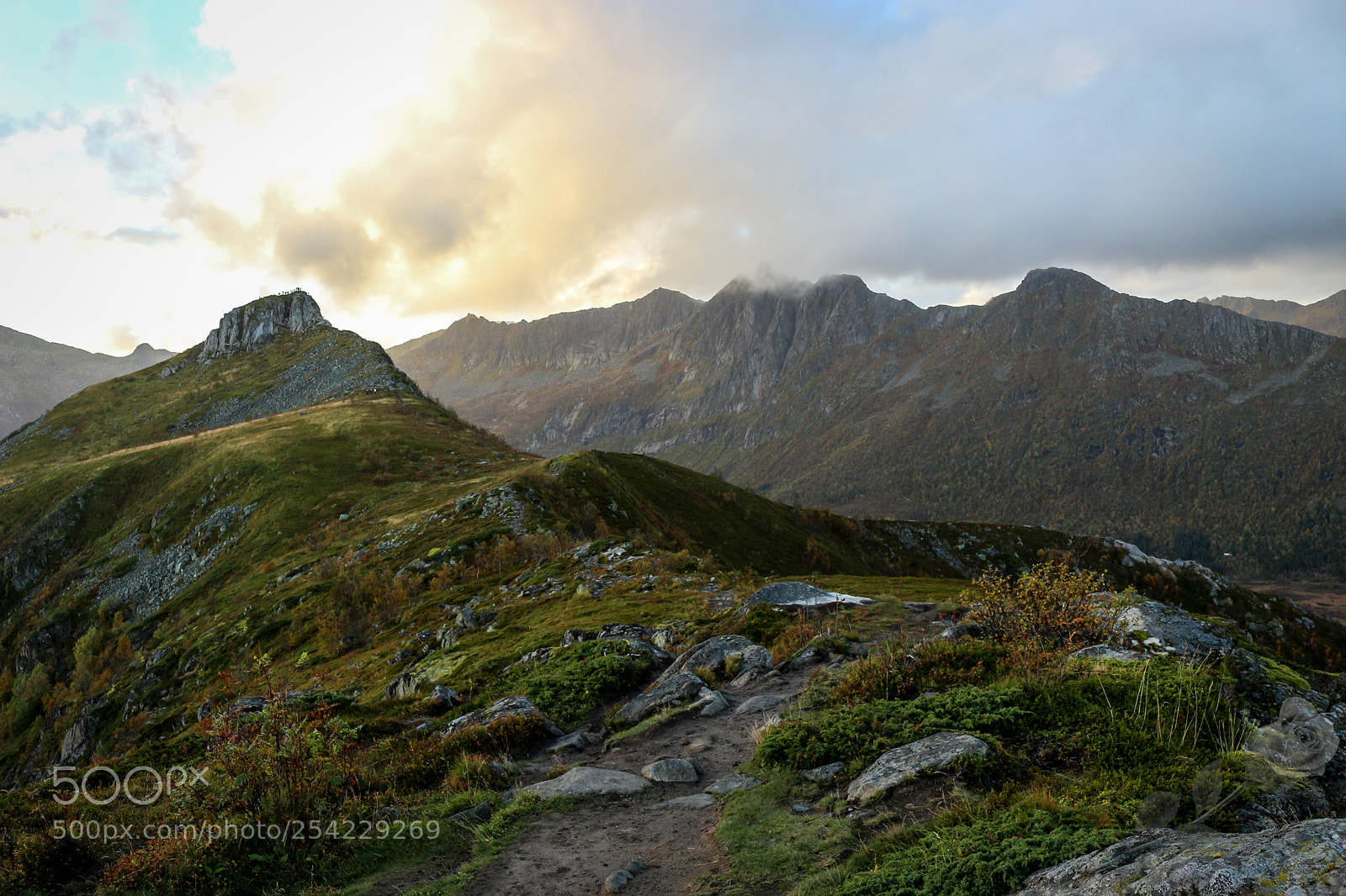 Canon EOS 700D (EOS Rebel T5i / EOS Kiss X7i) sample photo. Finalcutwatermark photography