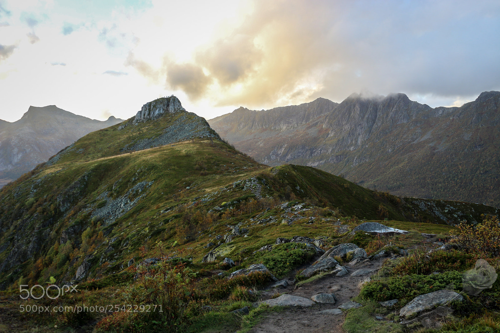 Canon EOS 700D (EOS Rebel T5i / EOS Kiss X7i) sample photo. Finalcutwatermark photography