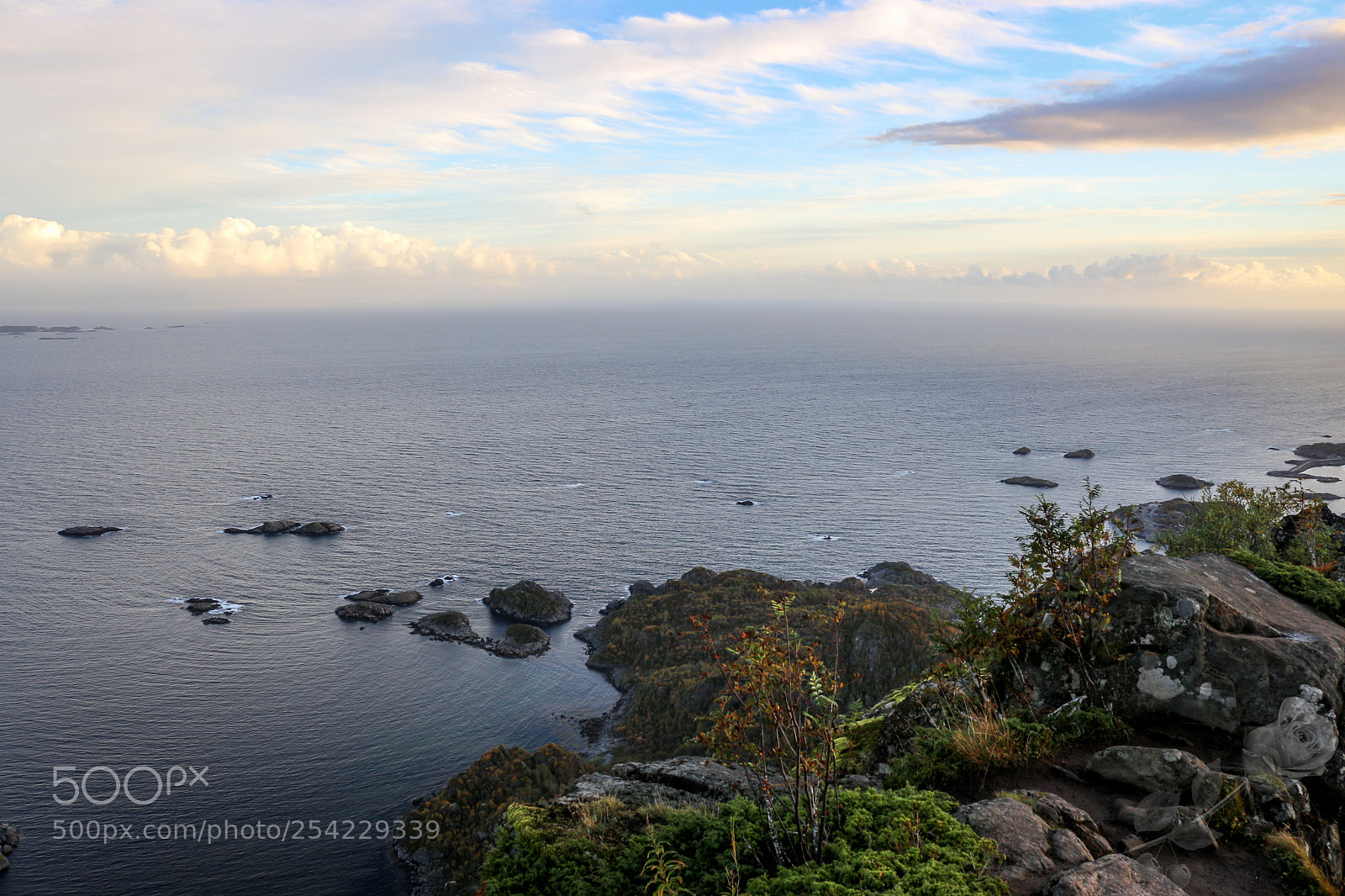 Canon EOS 700D (EOS Rebel T5i / EOS Kiss X7i) sample photo. Finalcutwatermark photography