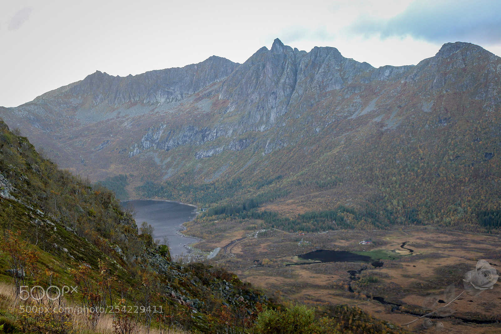 Canon EOS 700D (EOS Rebel T5i / EOS Kiss X7i) sample photo. Finalcutwatermark photography
