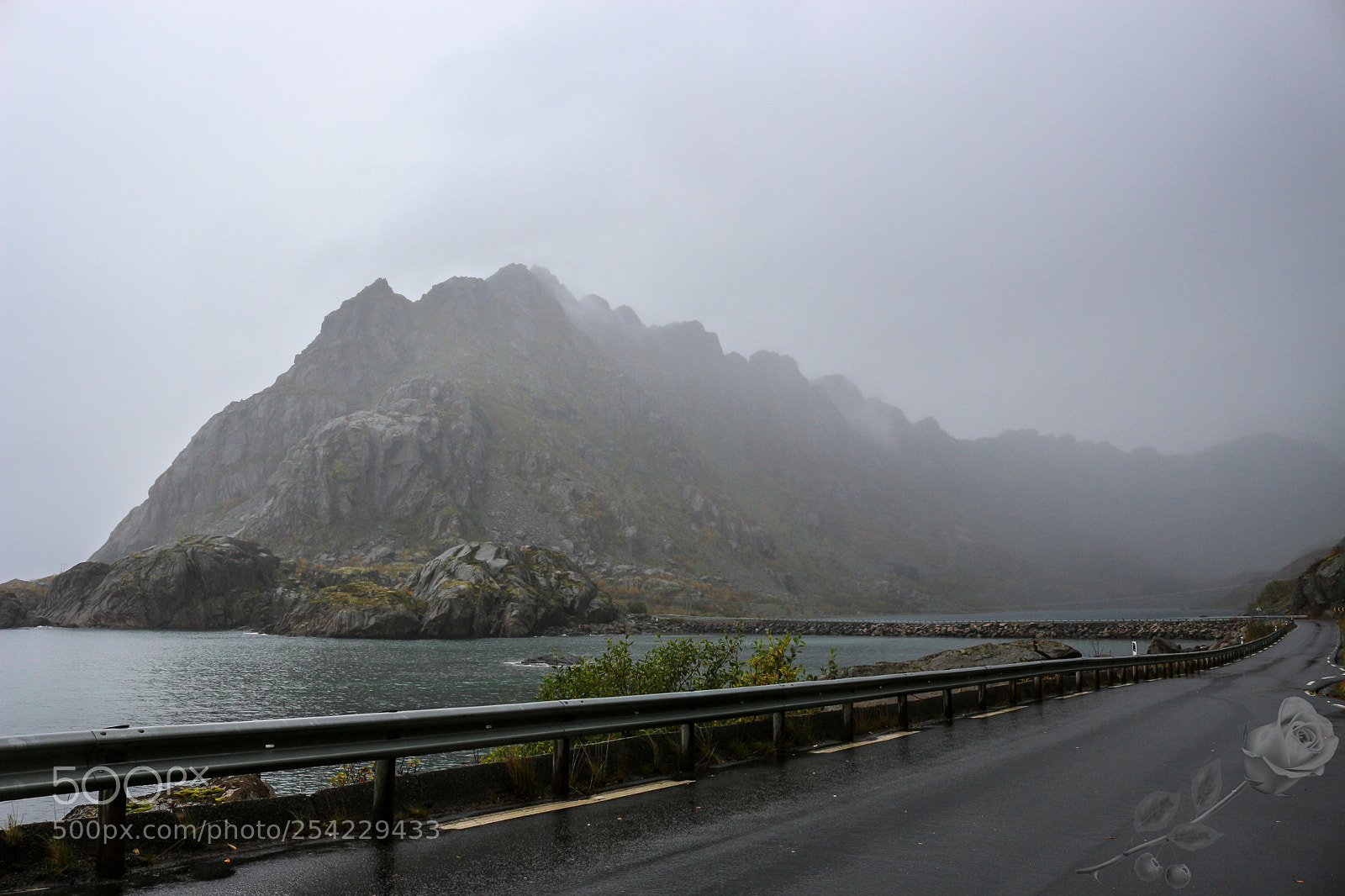 Canon EOS 700D (EOS Rebel T5i / EOS Kiss X7i) sample photo. Finalcutwatermark photography