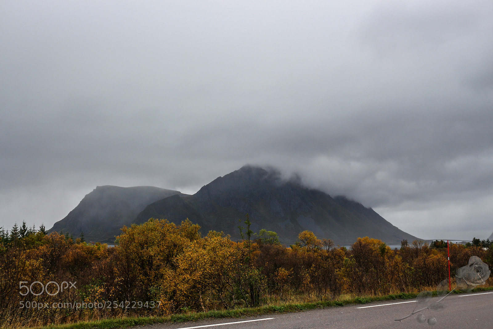 Canon EOS 700D (EOS Rebel T5i / EOS Kiss X7i) sample photo. Finalcutwatermark photography