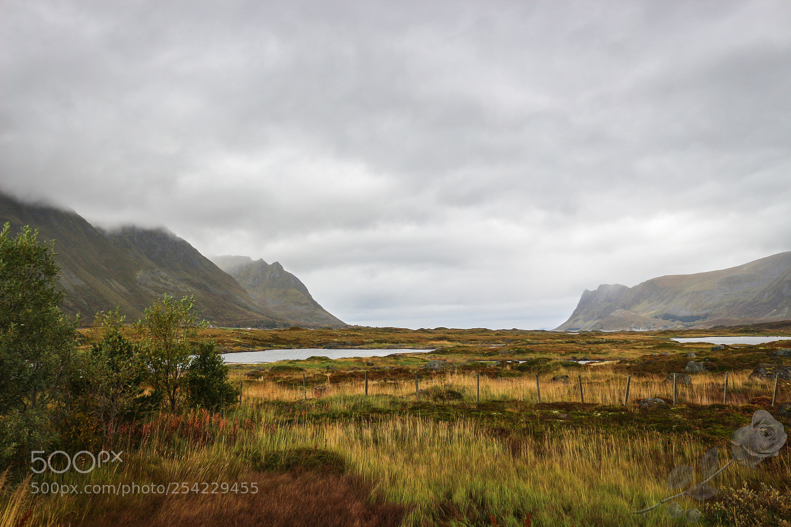 Canon EOS 700D (EOS Rebel T5i / EOS Kiss X7i) sample photo. Finalcutwatermark photography