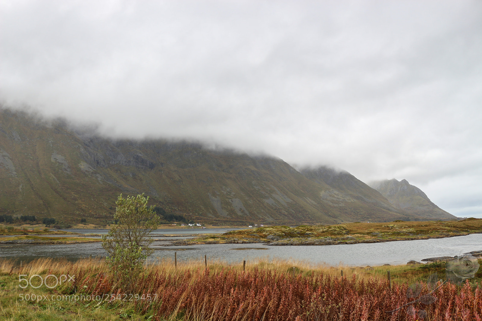 Canon EOS 700D (EOS Rebel T5i / EOS Kiss X7i) sample photo. Finalcutwatermark photography