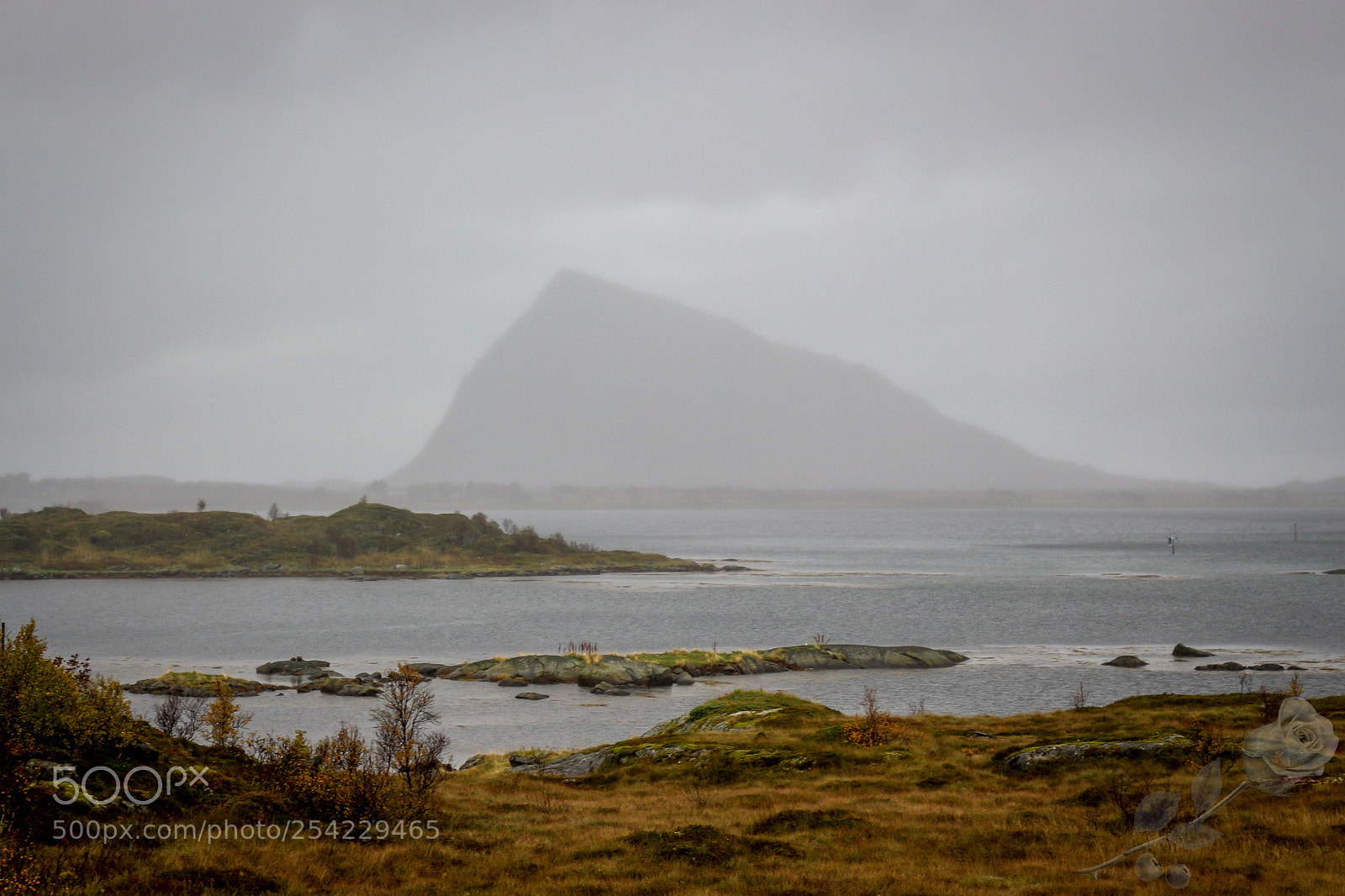 Canon EOS 700D (EOS Rebel T5i / EOS Kiss X7i) sample photo. Finalcutwatermark photography