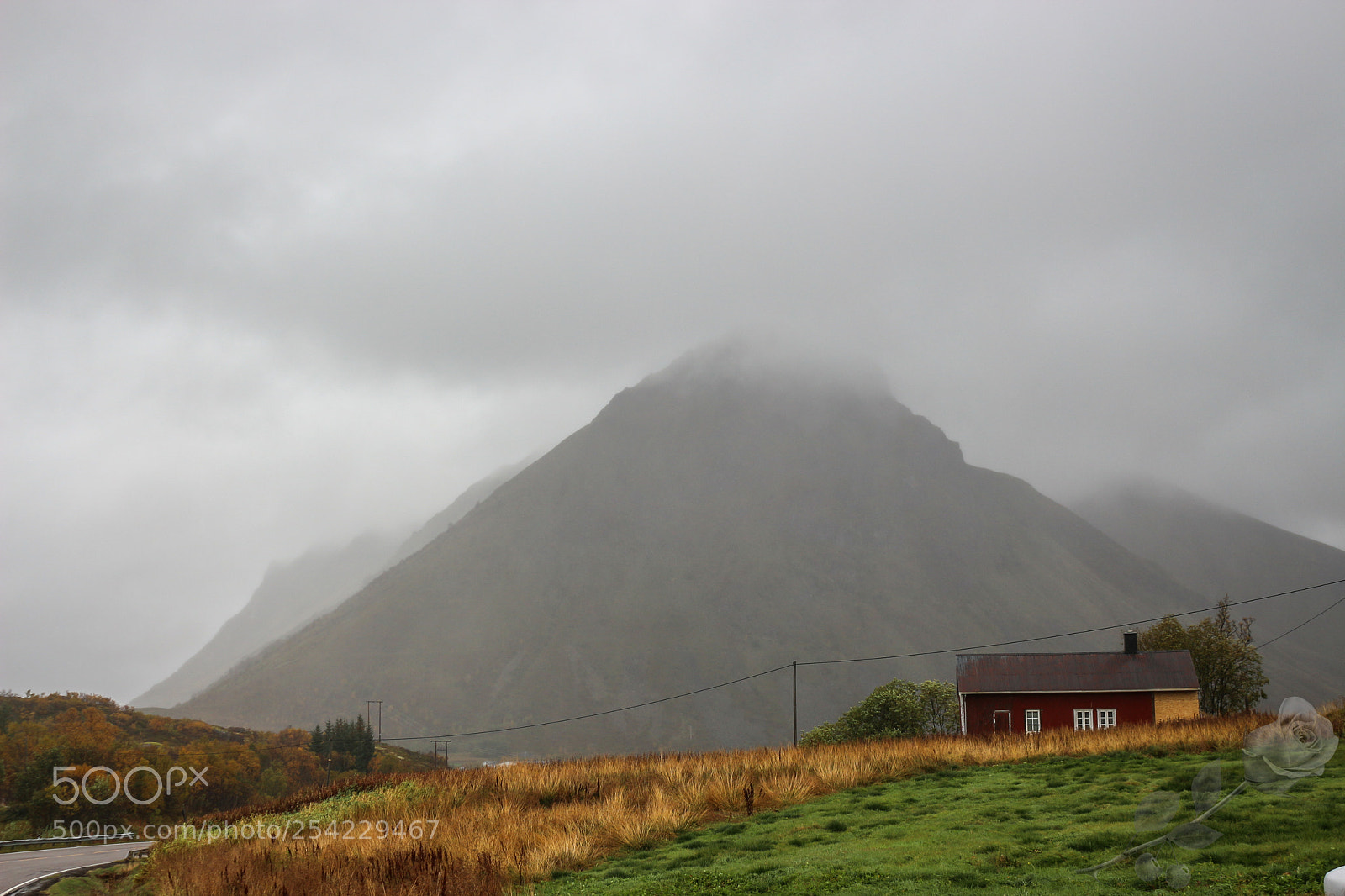 Canon EOS 700D (EOS Rebel T5i / EOS Kiss X7i) sample photo. Finalcutwatermark photography