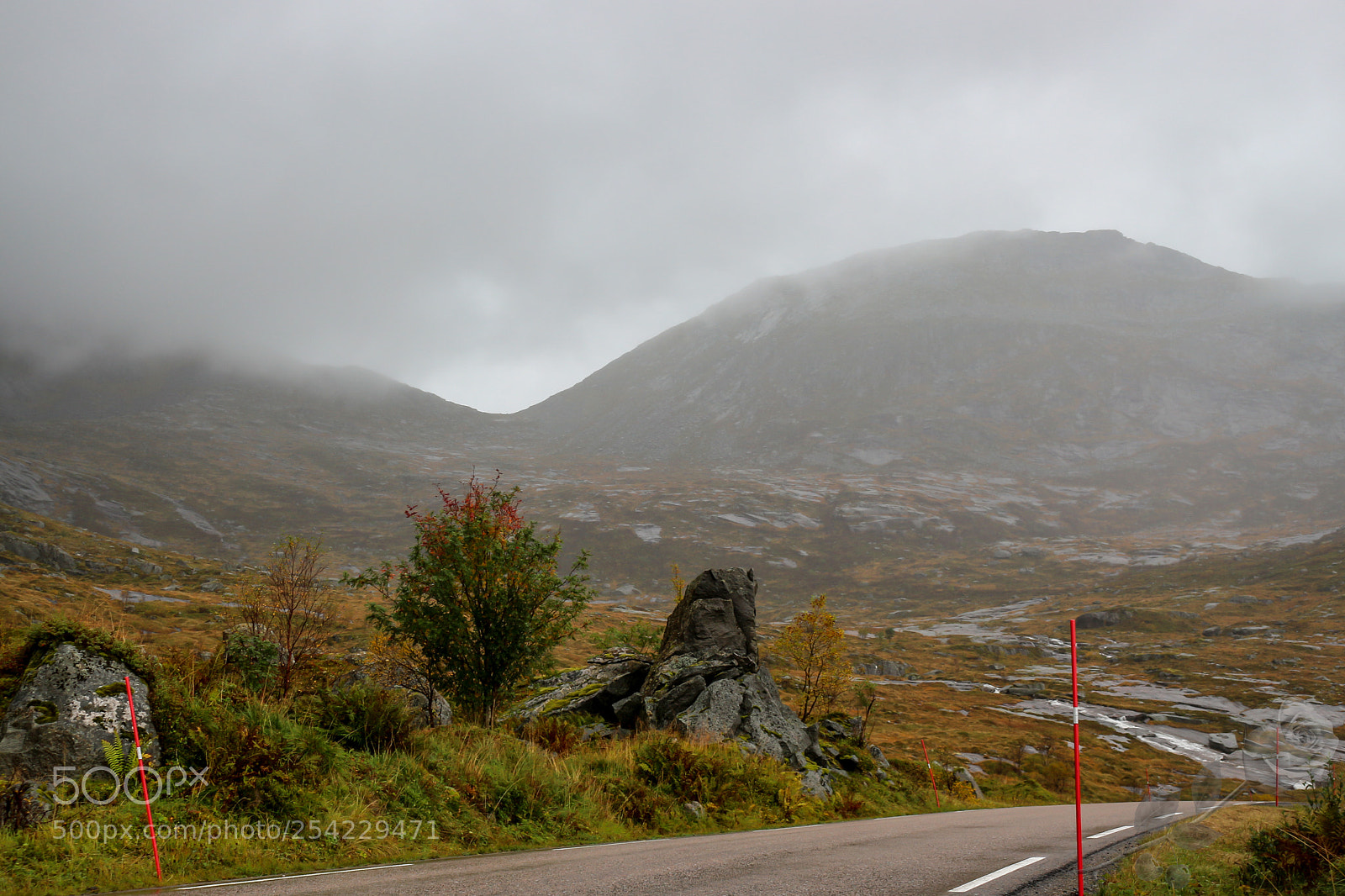Canon EOS 700D (EOS Rebel T5i / EOS Kiss X7i) sample photo. Finalcutwatermark photography