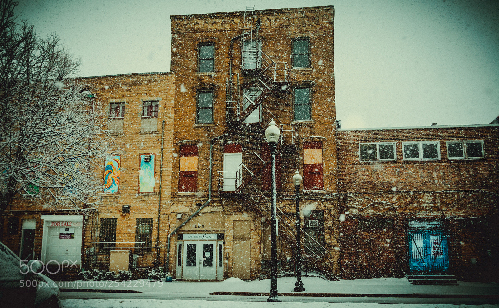 Canon EOS 5D Mark II sample photo. Snow day photography