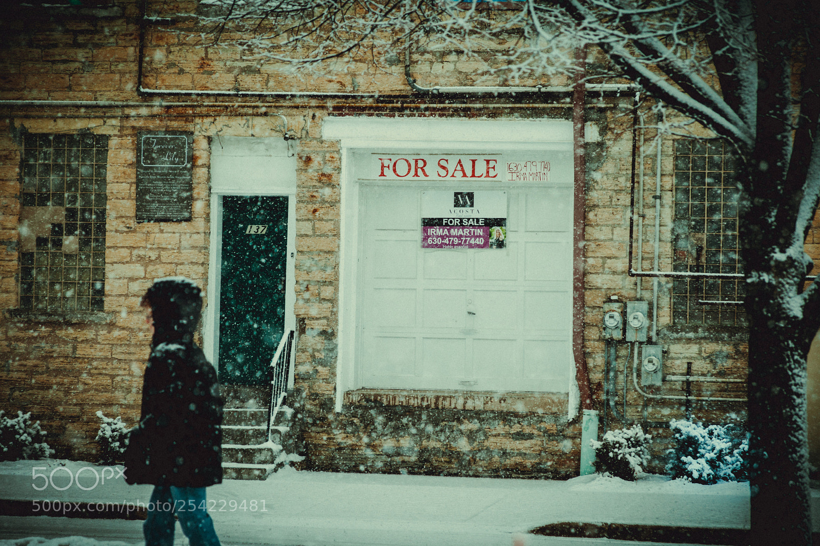 Canon EOS 5D Mark II sample photo. Snow day photography