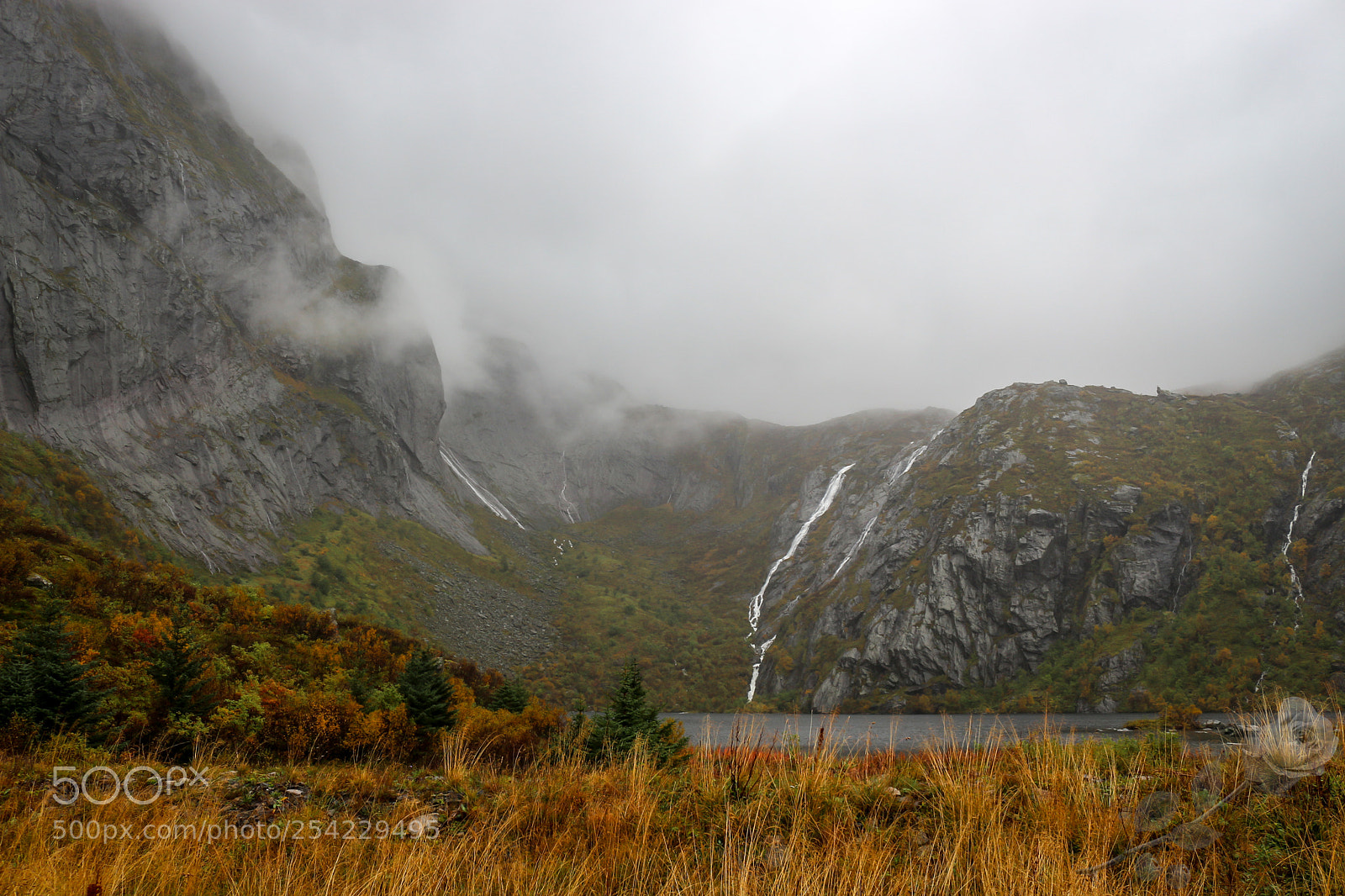 Canon EOS 700D (EOS Rebel T5i / EOS Kiss X7i) sample photo. Finalcutwatermark photography