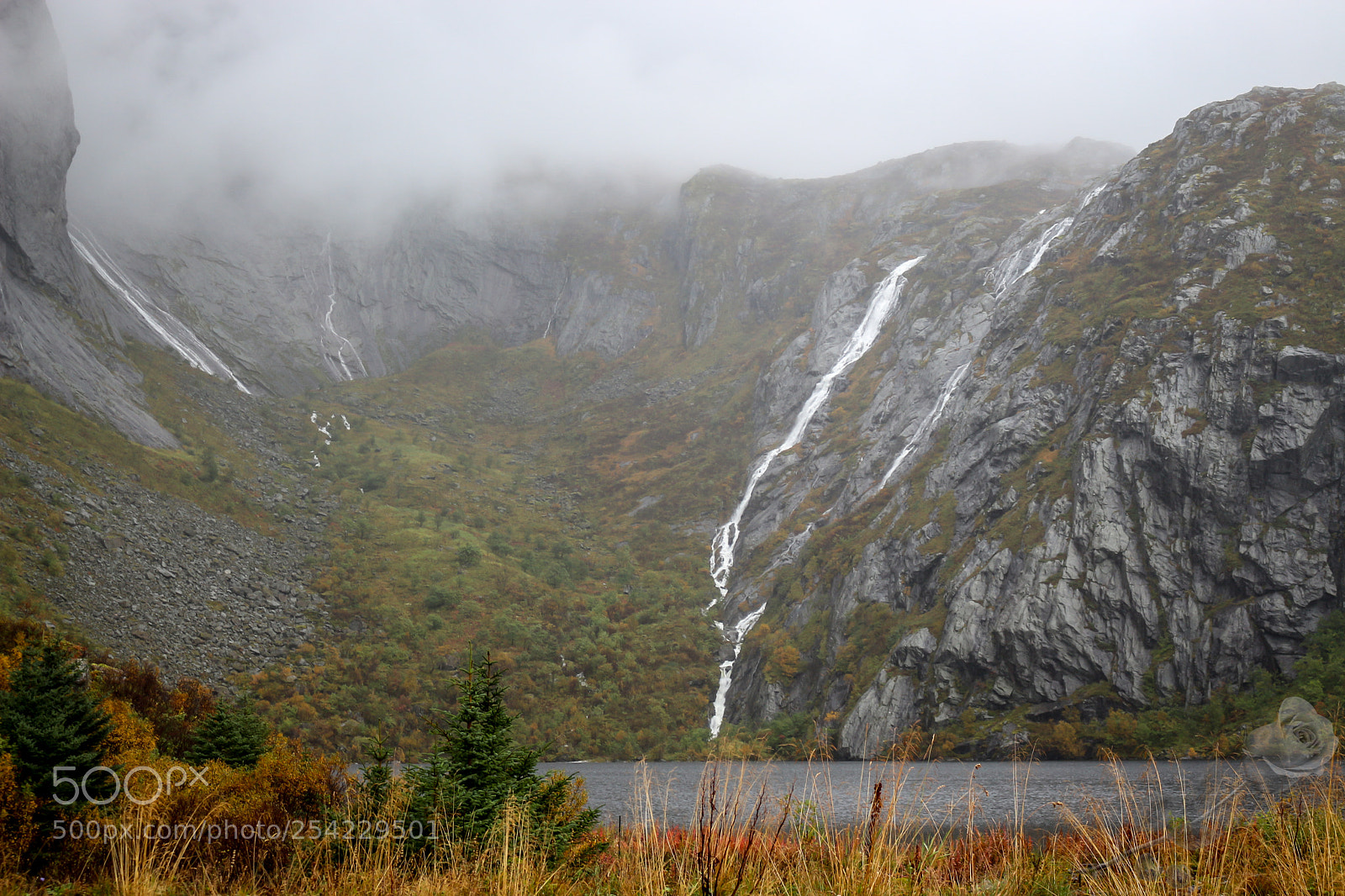 Canon EOS 700D (EOS Rebel T5i / EOS Kiss X7i) sample photo. Finalcutwatermark photography