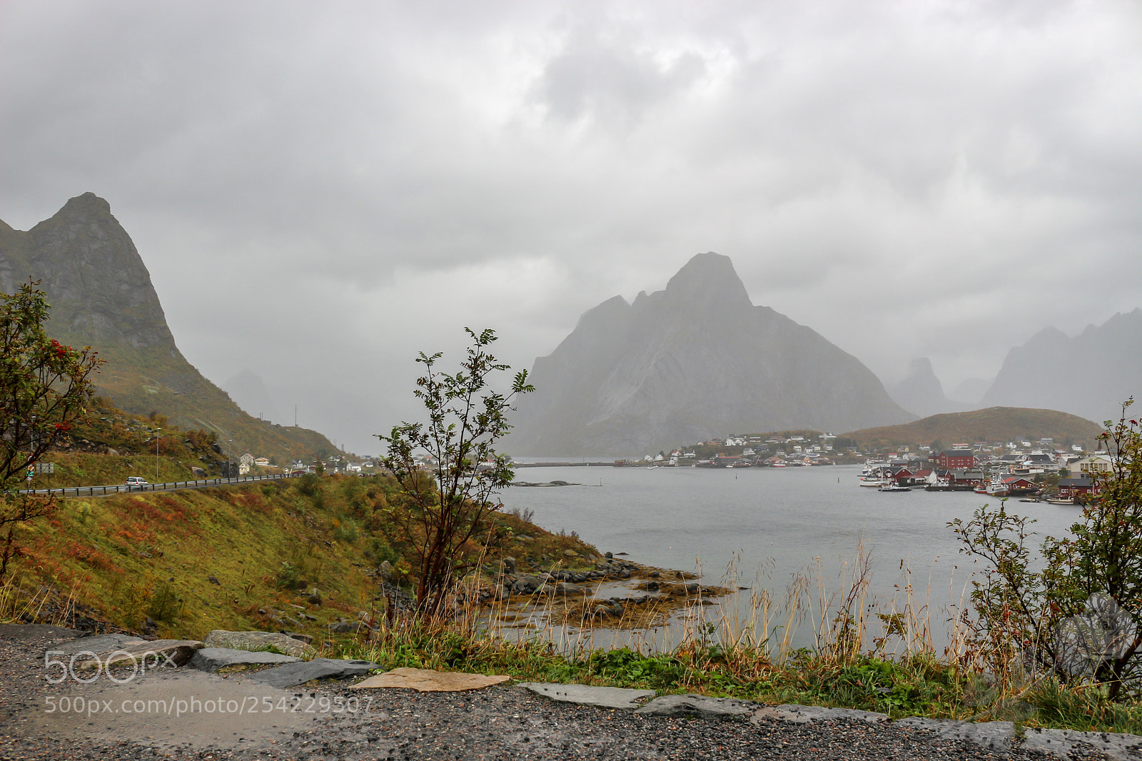Canon EOS 700D (EOS Rebel T5i / EOS Kiss X7i) sample photo. Finalcutwatermark photography
