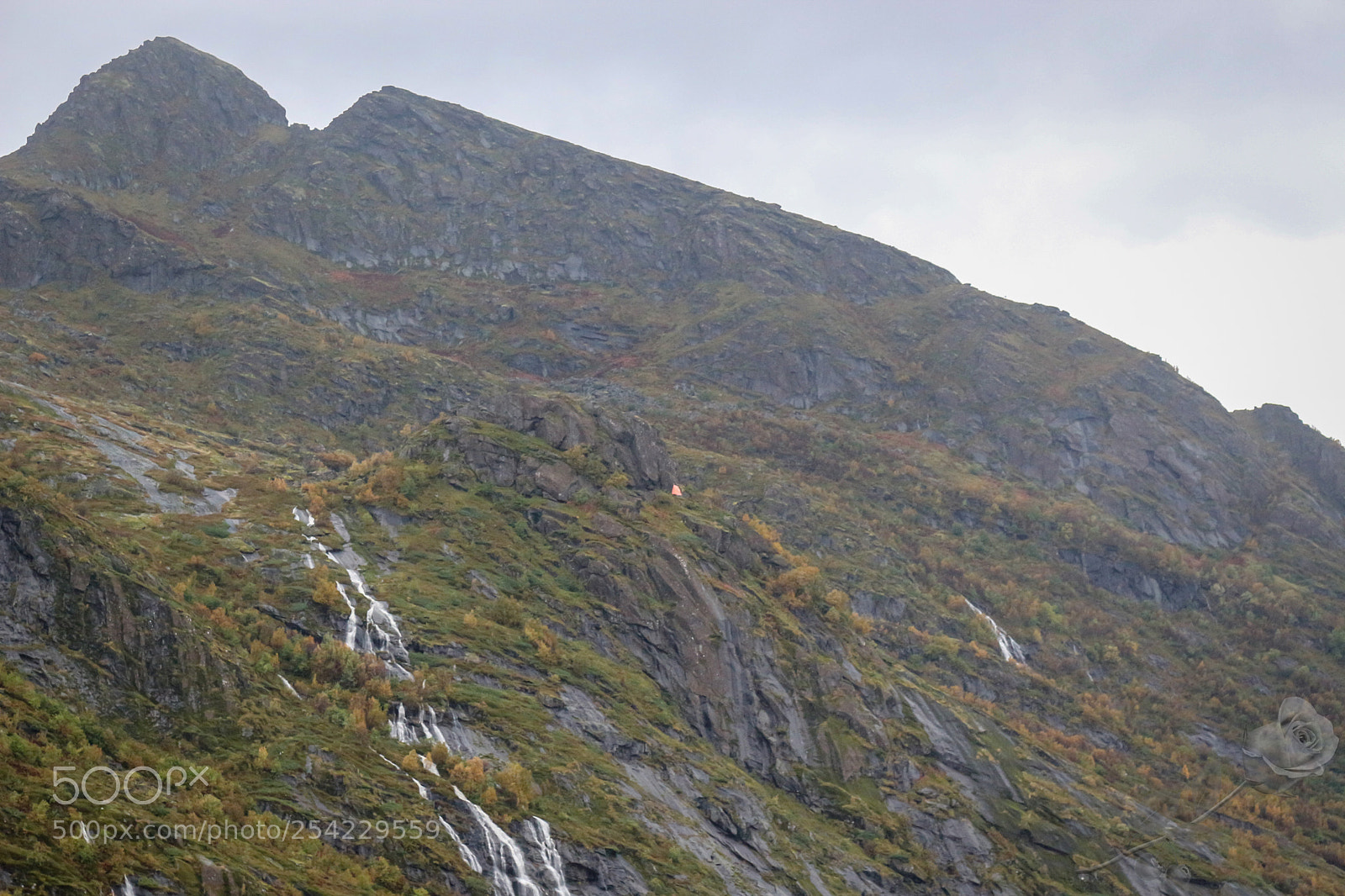 Canon EOS 700D (EOS Rebel T5i / EOS Kiss X7i) sample photo. Finalcutwatermark photography