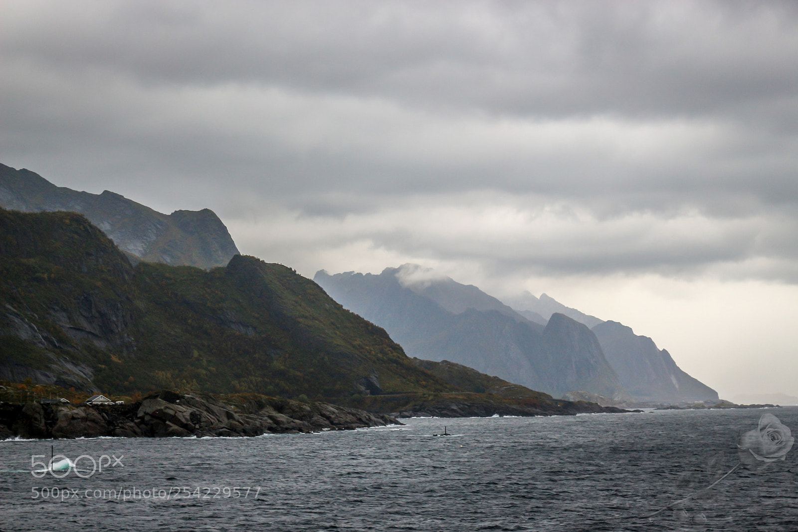 Canon EOS 700D (EOS Rebel T5i / EOS Kiss X7i) sample photo. Finalcutwatermark photography