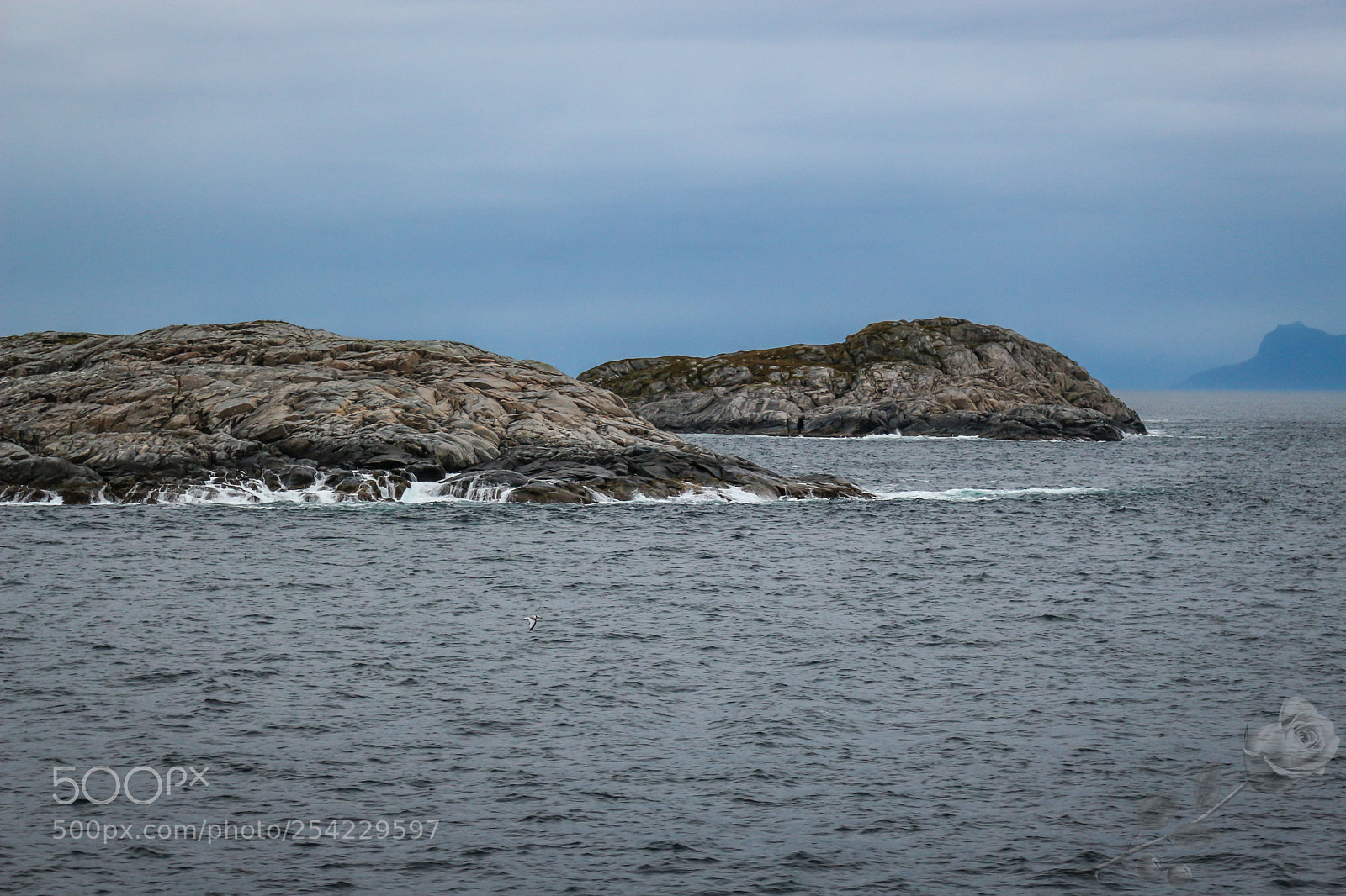 Canon EOS 700D (EOS Rebel T5i / EOS Kiss X7i) sample photo. Finalcutwatermark photography