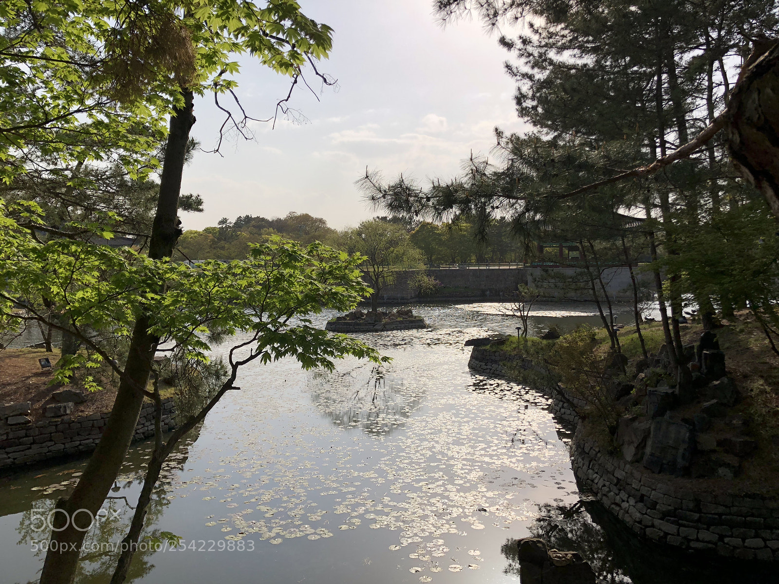 Apple iPhone 8 Plus sample photo. Silla photography