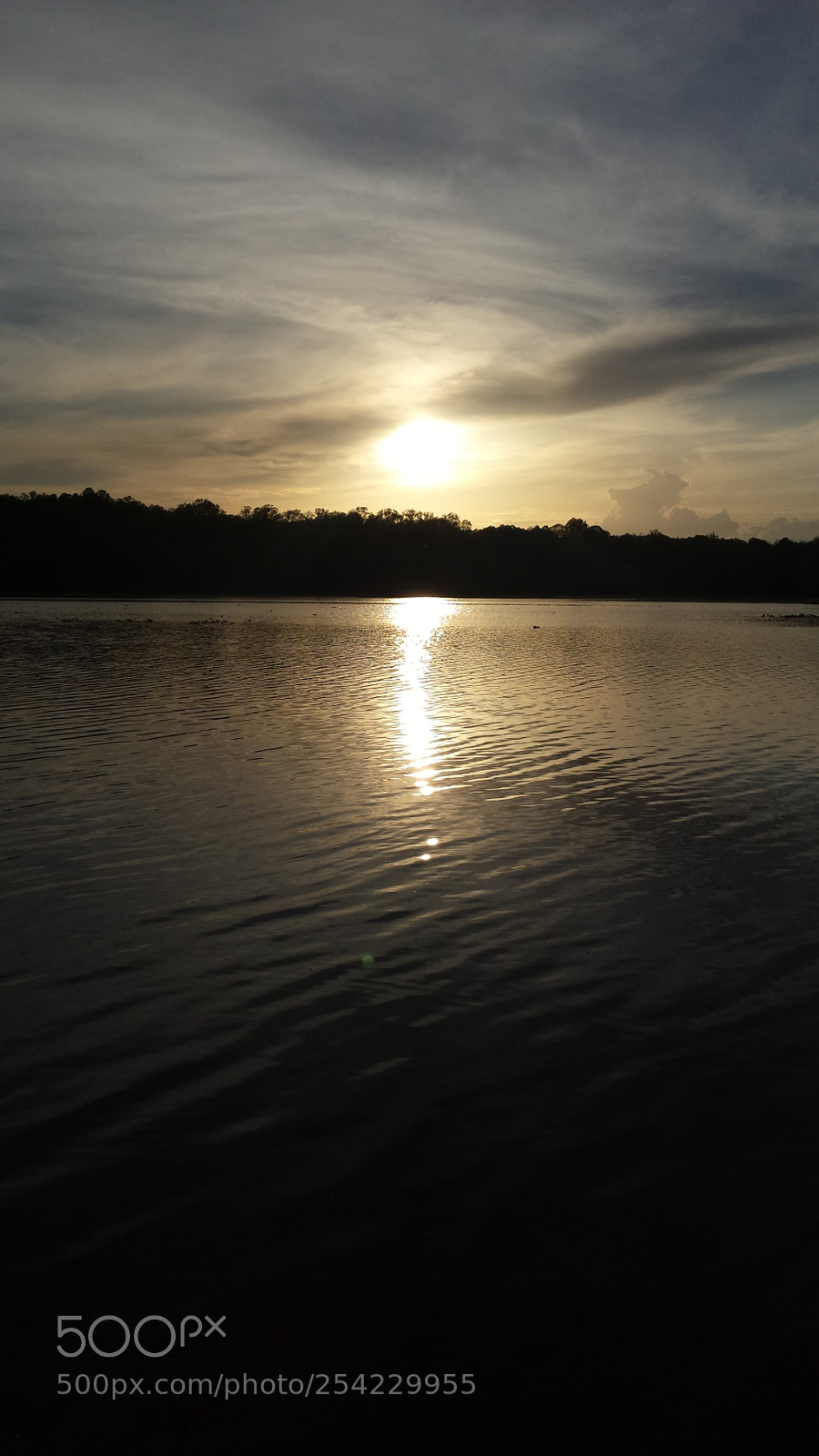 Samsung Galaxy S4 sample photo. Untitled photography