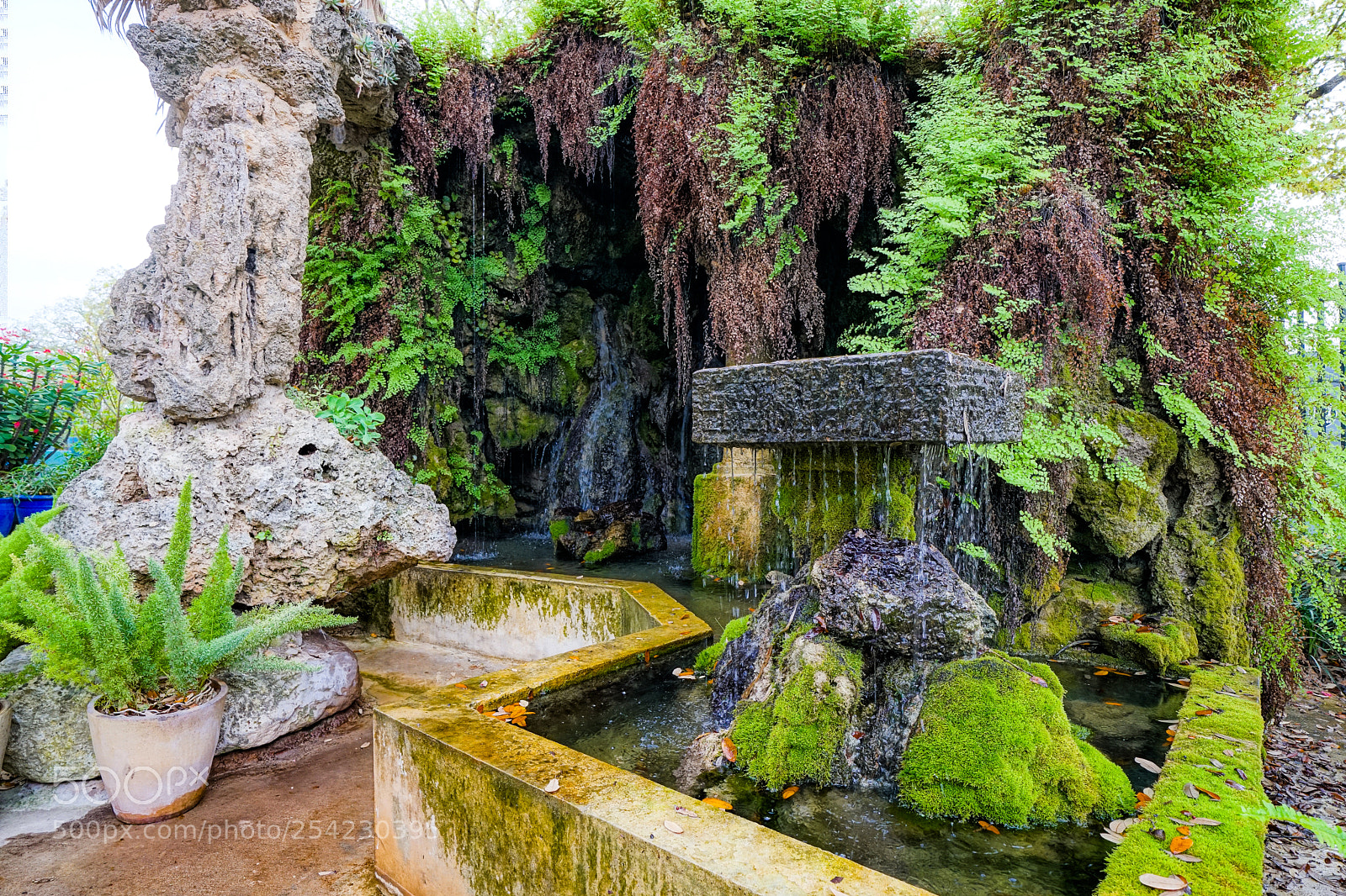 Sony a6500 sample photo. Krause springs photography