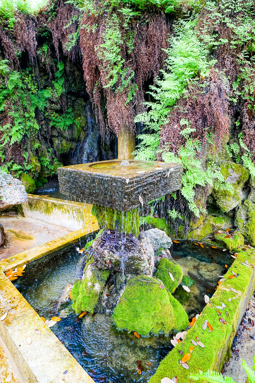 Sony a6500 sample photo. Krause springs photography