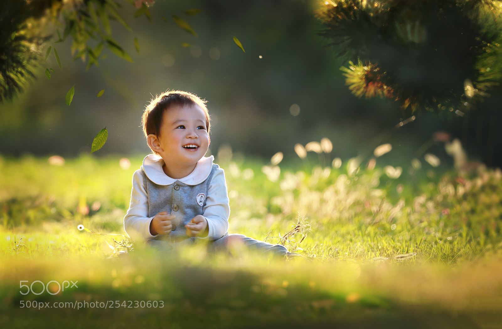 Canon EOS 5D Mark IV sample photo. 松下 photography
