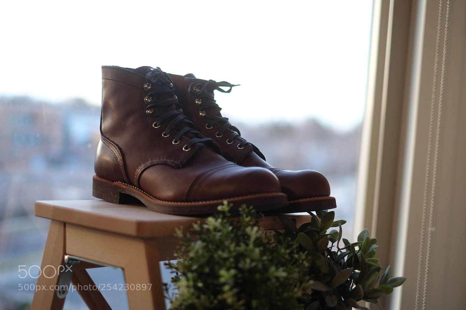 Fujifilm X-T1 sample photo. Dscf photography
