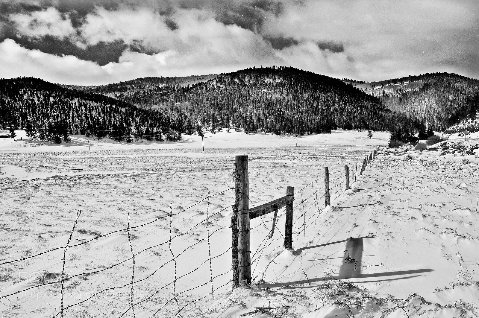 Nikon D90 sample photo. Snowyfenceline bw photography