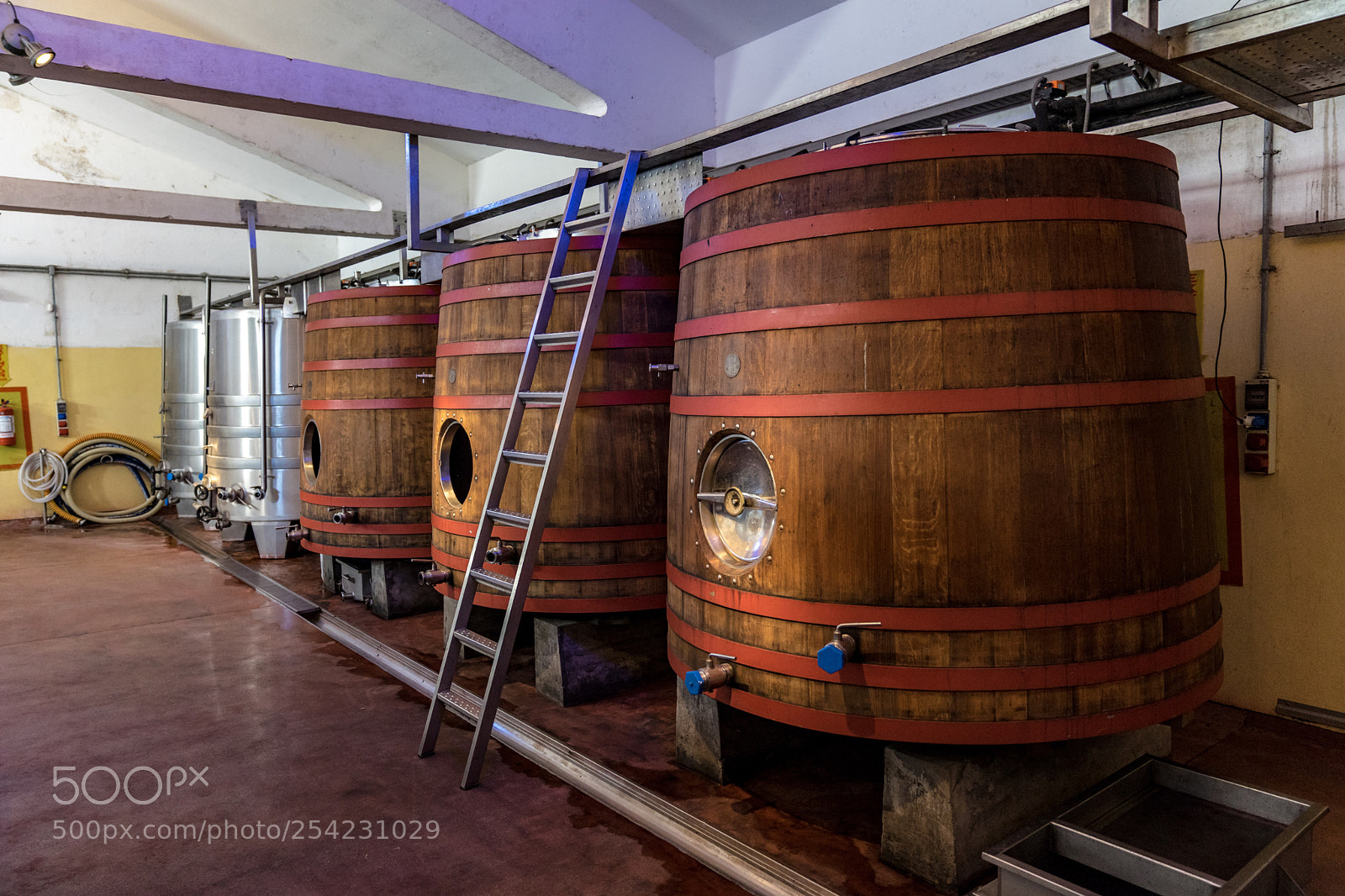 Sony a7 sample photo. Wine barrels photography