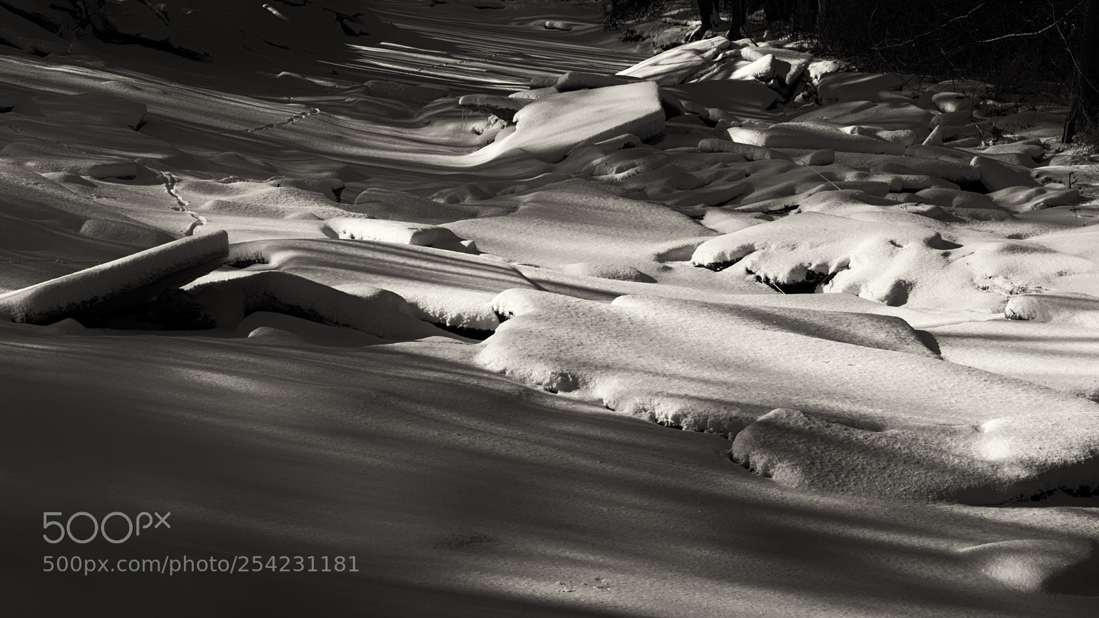 Nikon D7200 sample photo. Long snowy shadows photography