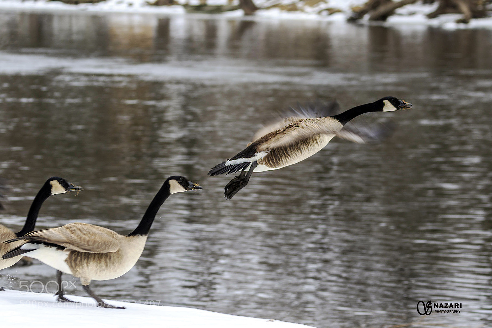 Canon EOS 7D Mark II sample photo. Taking off photography