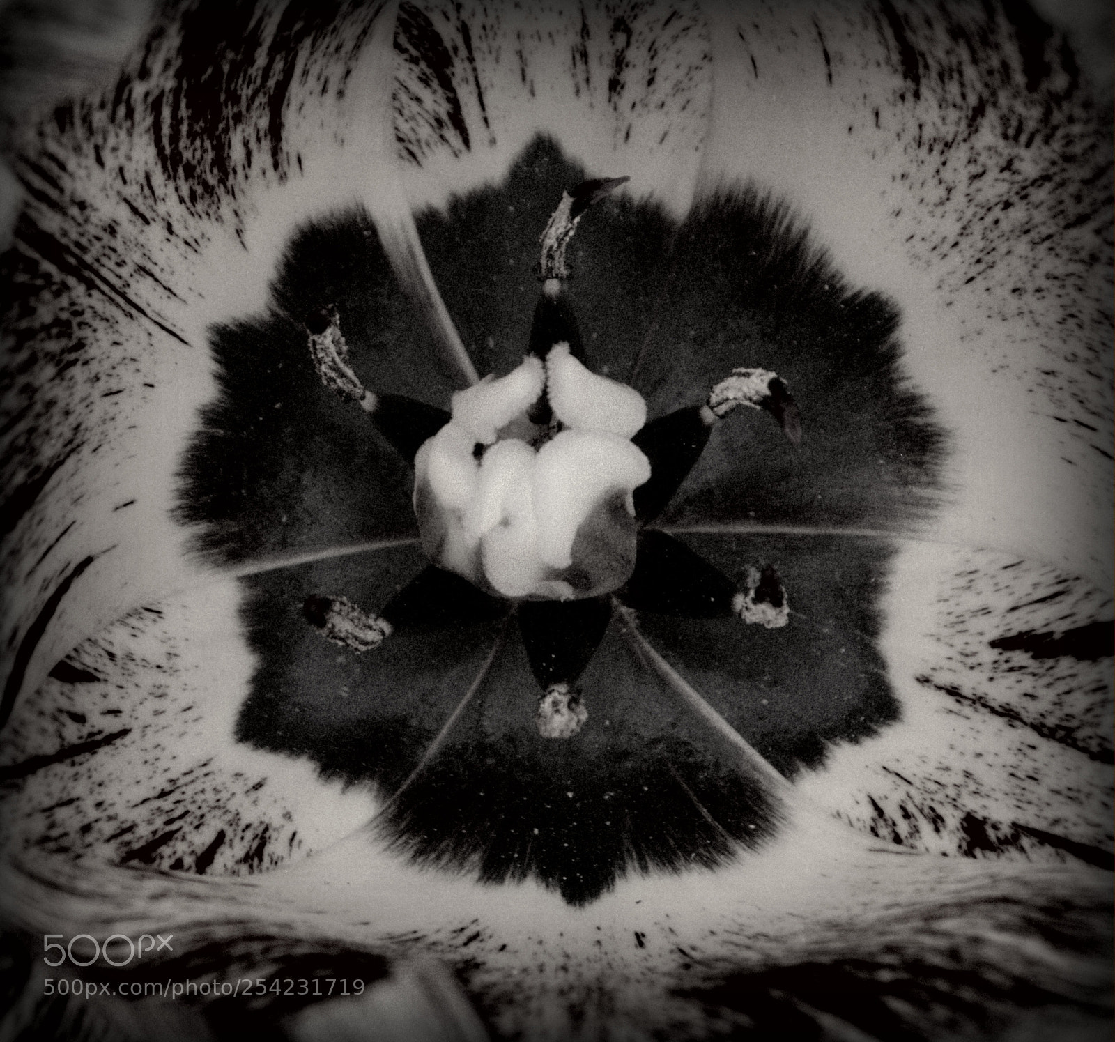 Nikon D5200 sample photo. Spectrum of life photography