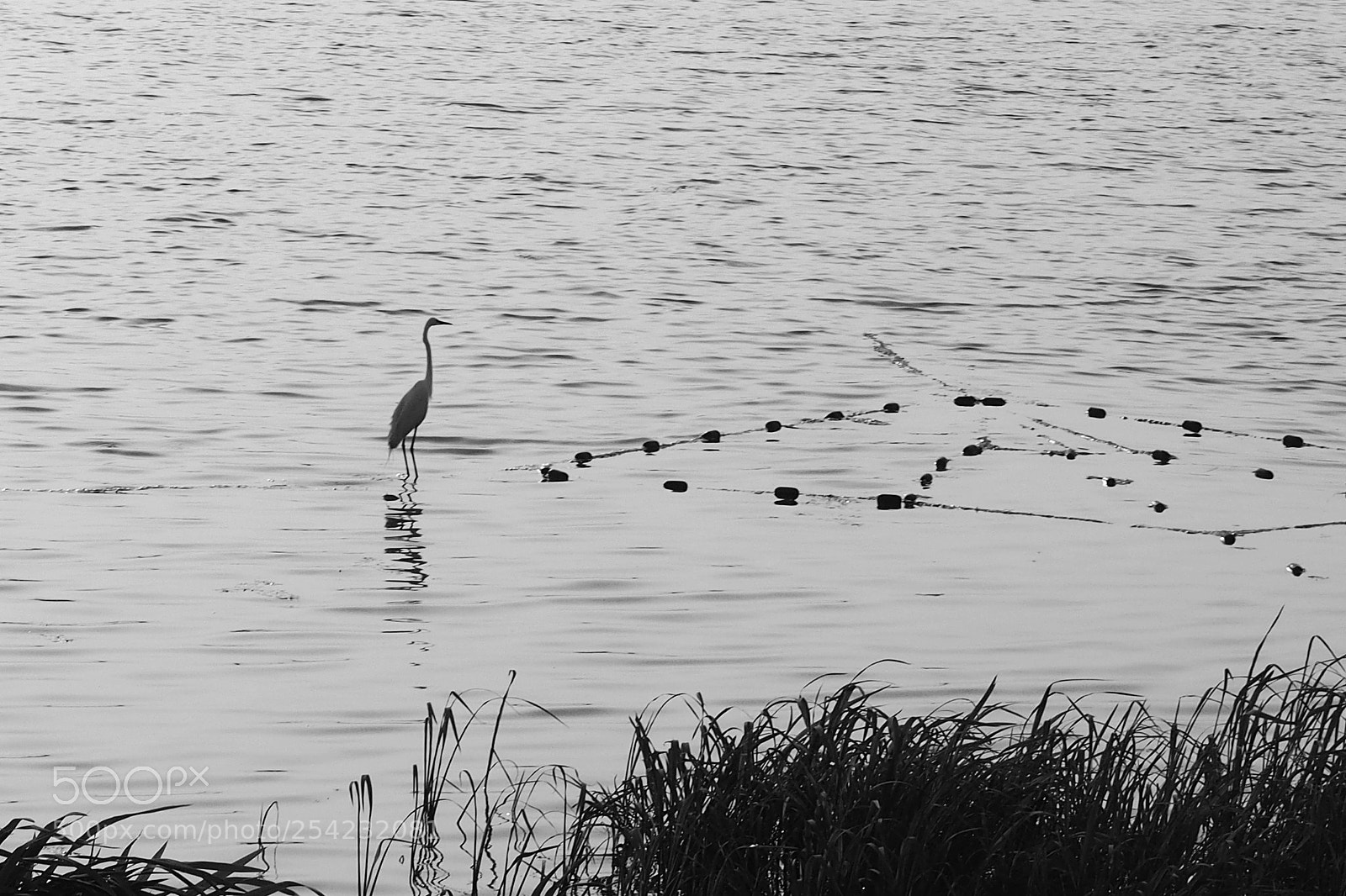 Olympus OM-D E-M5 sample photo. Untitled photography