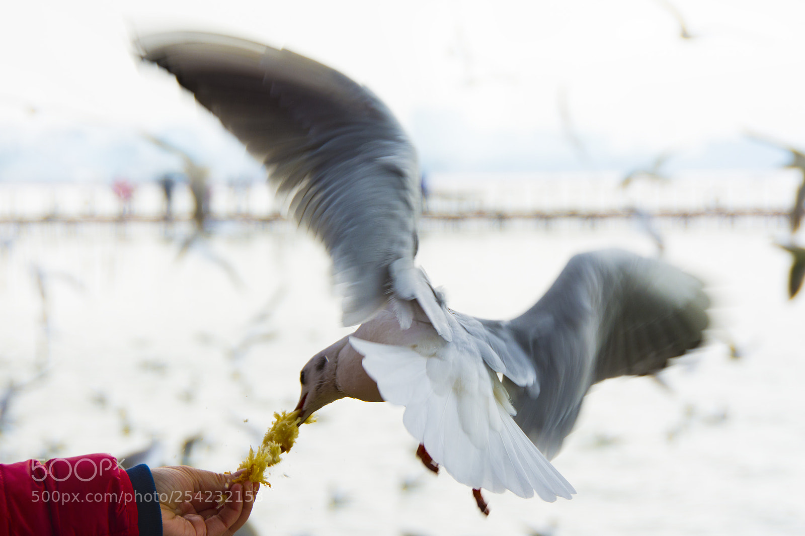 Nikon D7100 sample photo. Untitled photography