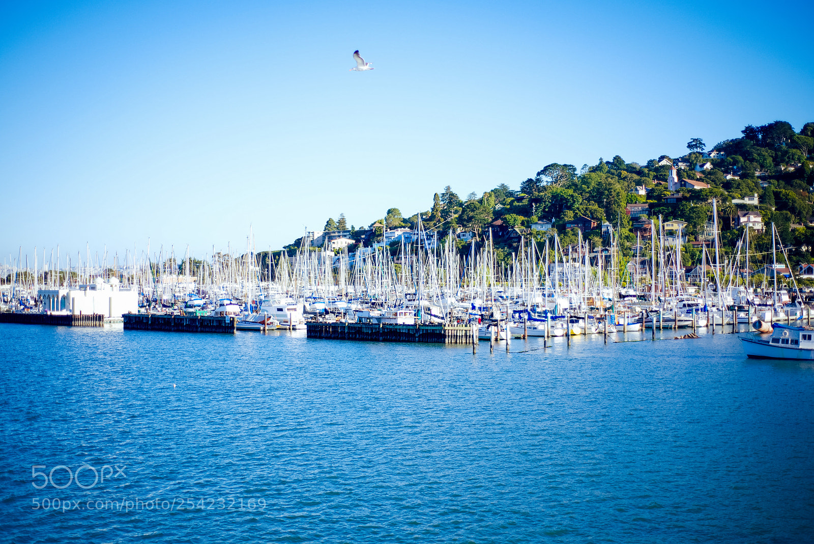 Nikon D600 sample photo. Sf marina photography