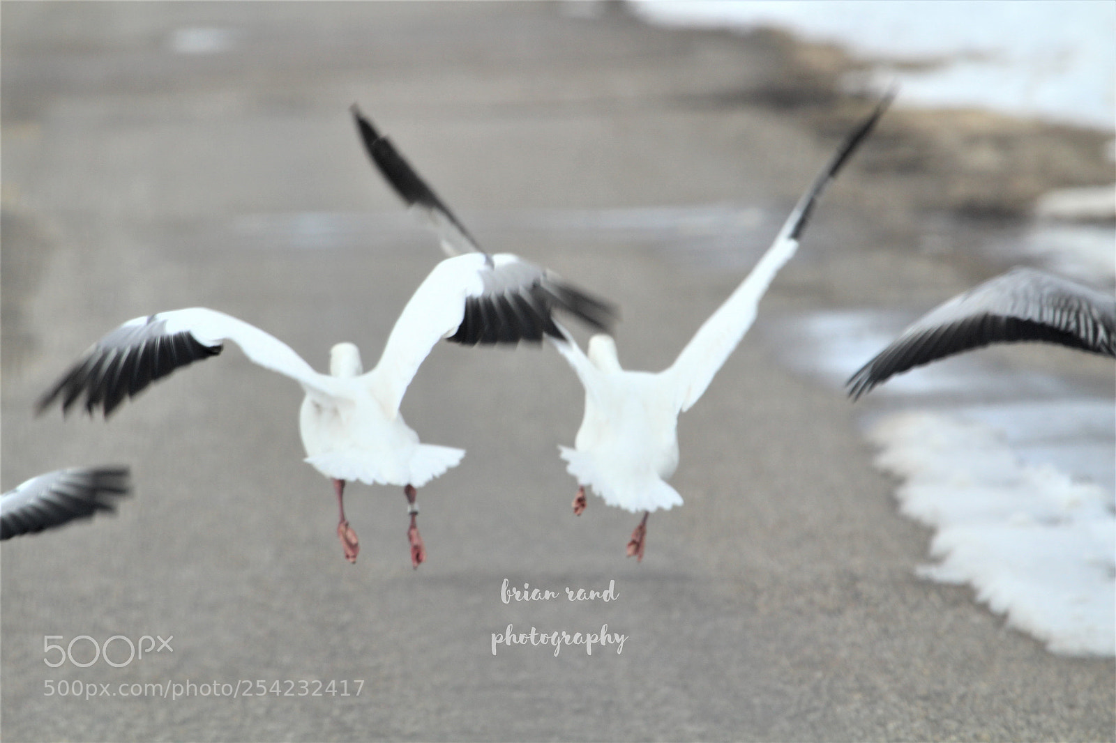 Canon EOS 1200D (EOS Rebel T5 / EOS Kiss X70 / EOS Hi) sample photo. () photography