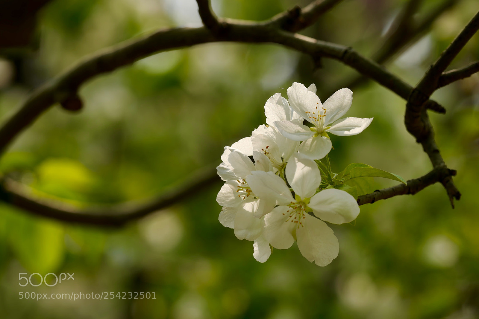 Leica SL (Typ 601) sample photo. Untitled photography