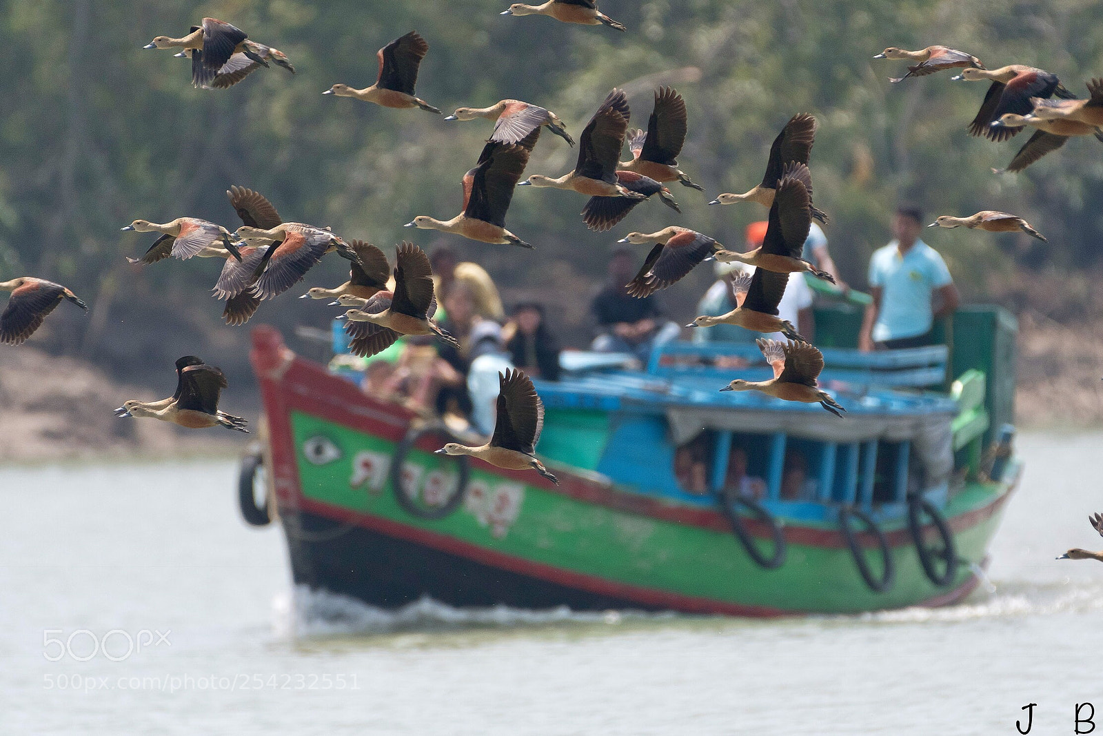 Nikon D500 sample photo. Escaping from humans photography