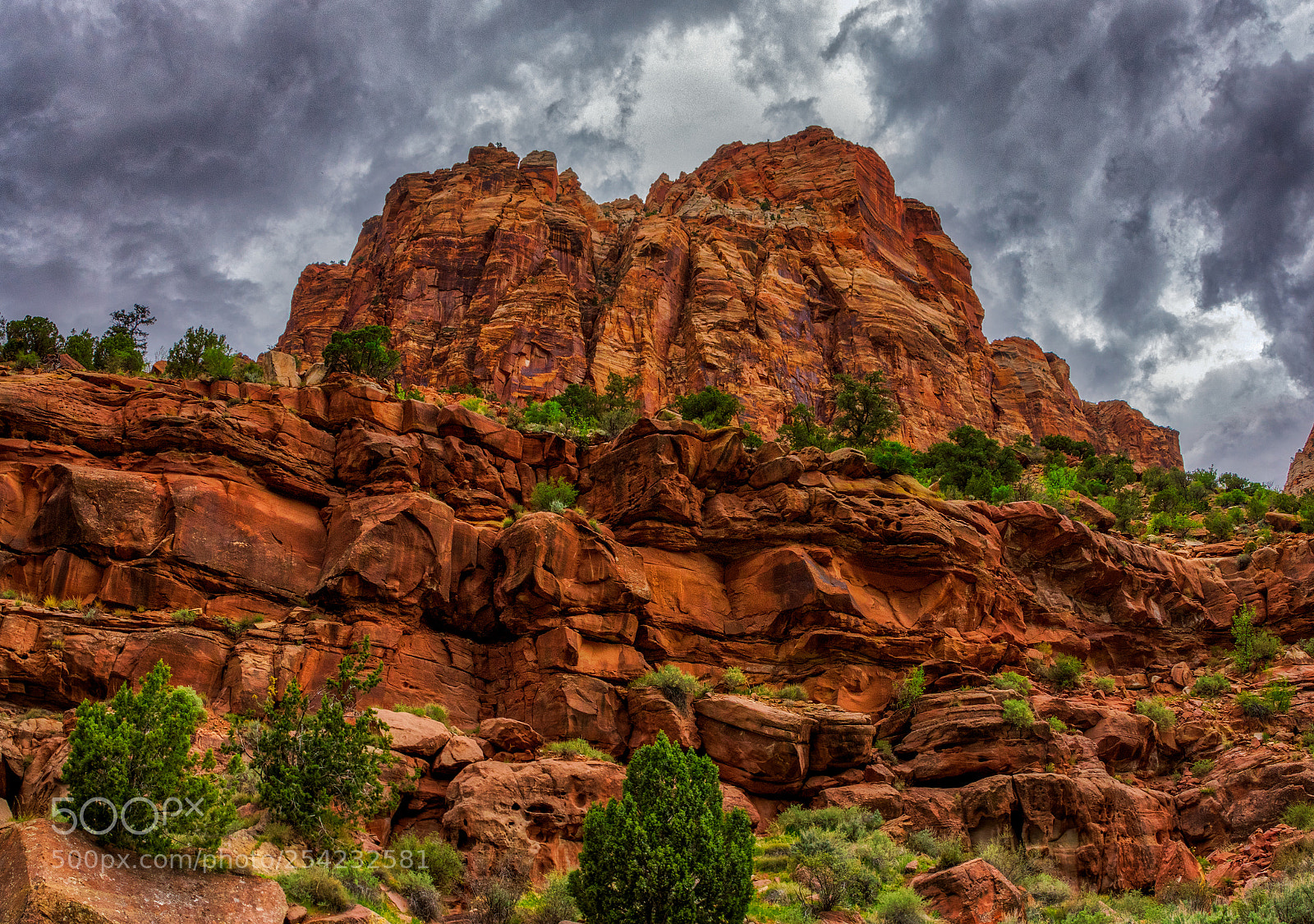 Pentax K-3 II sample photo. Zion national park photography