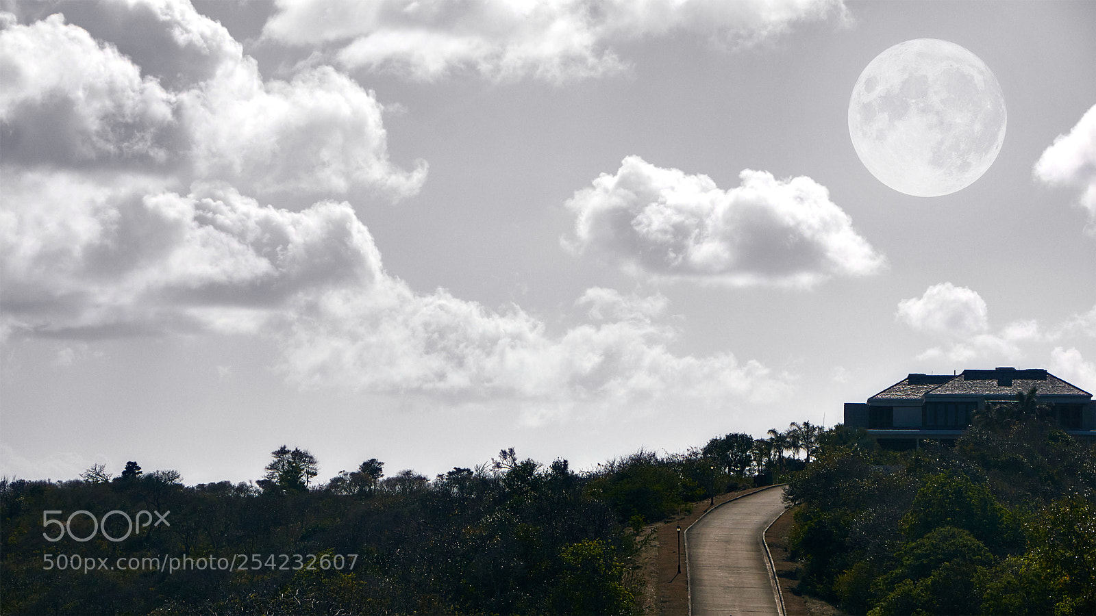 Canon EOS 70D sample photo. "the moon" photography