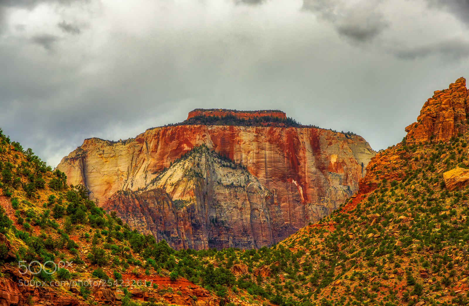 Pentax K-3 II sample photo. Zion national park photography