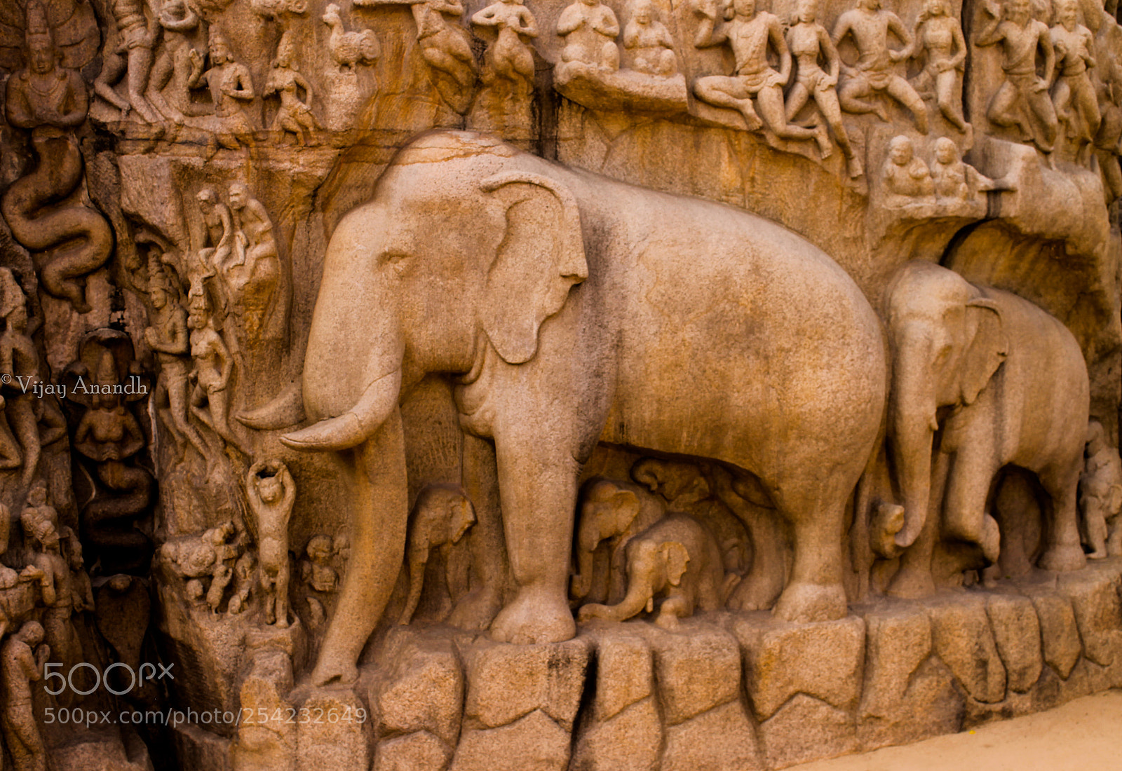 Canon EOS 1100D (EOS Rebel T3 / EOS Kiss X50) sample photo. Carved elephant stone photography