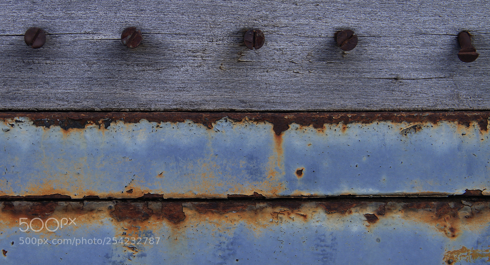 Canon EOS 7D sample photo. Oxido photography