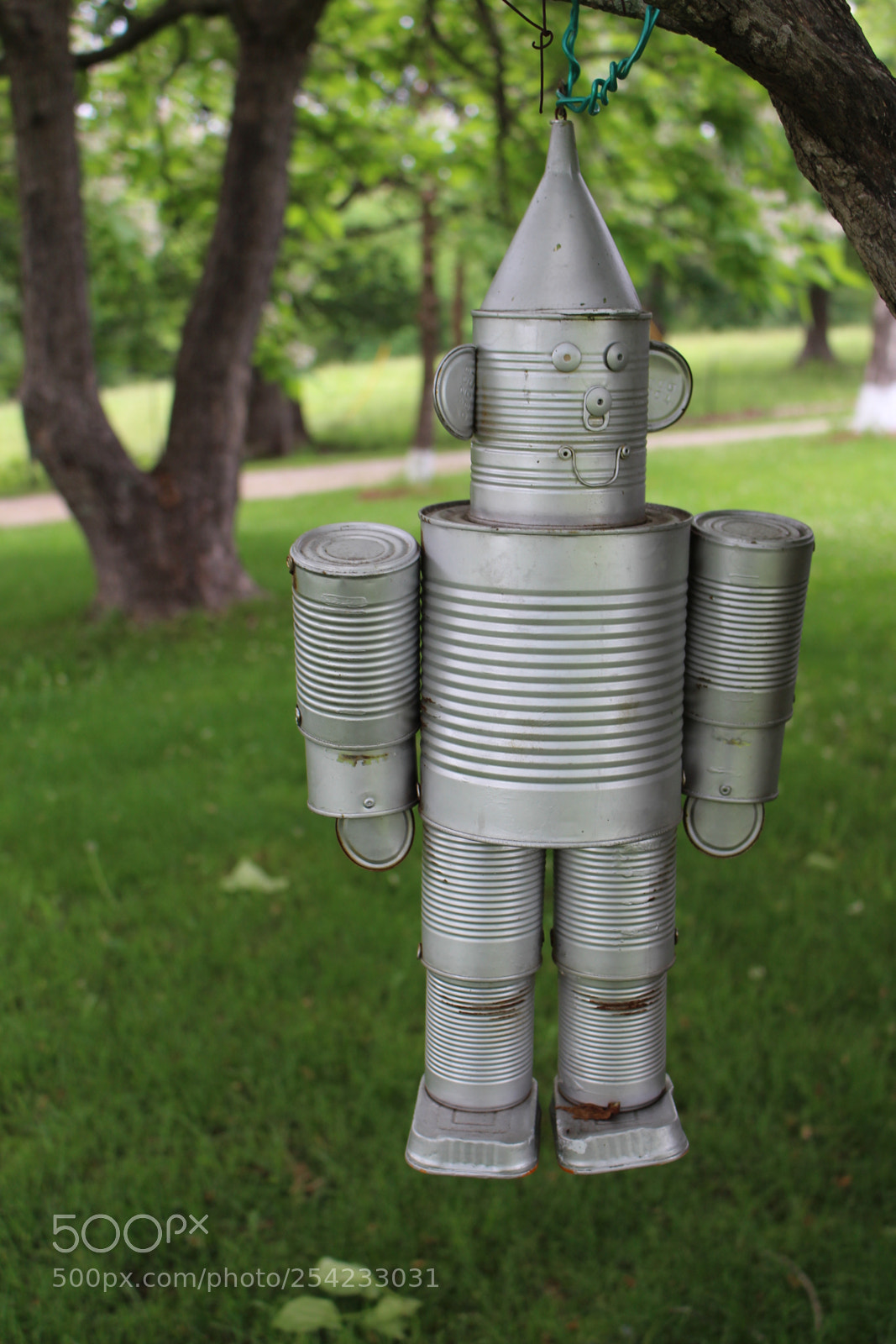 Canon EOS 700D (EOS Rebel T5i / EOS Kiss X7i) sample photo. Tin man during spring photography