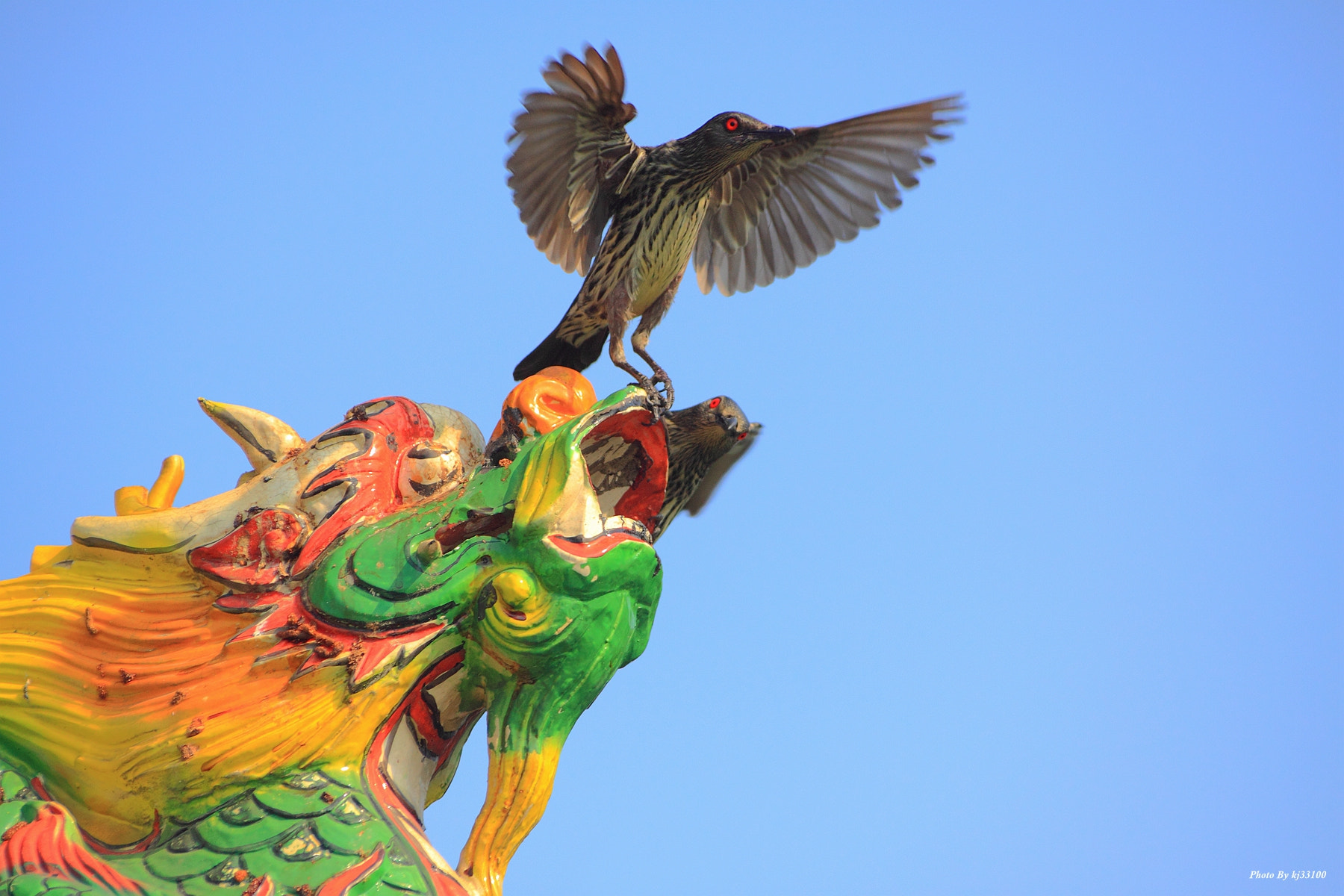 Sigma 70-300mm F4-5.6 APO DG Macro sample photo. 展翅 photography