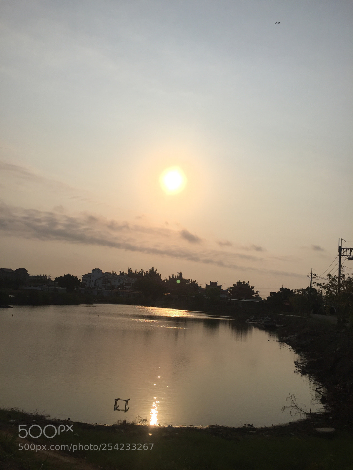 Apple iPhone 6 sample photo. Untitled photography