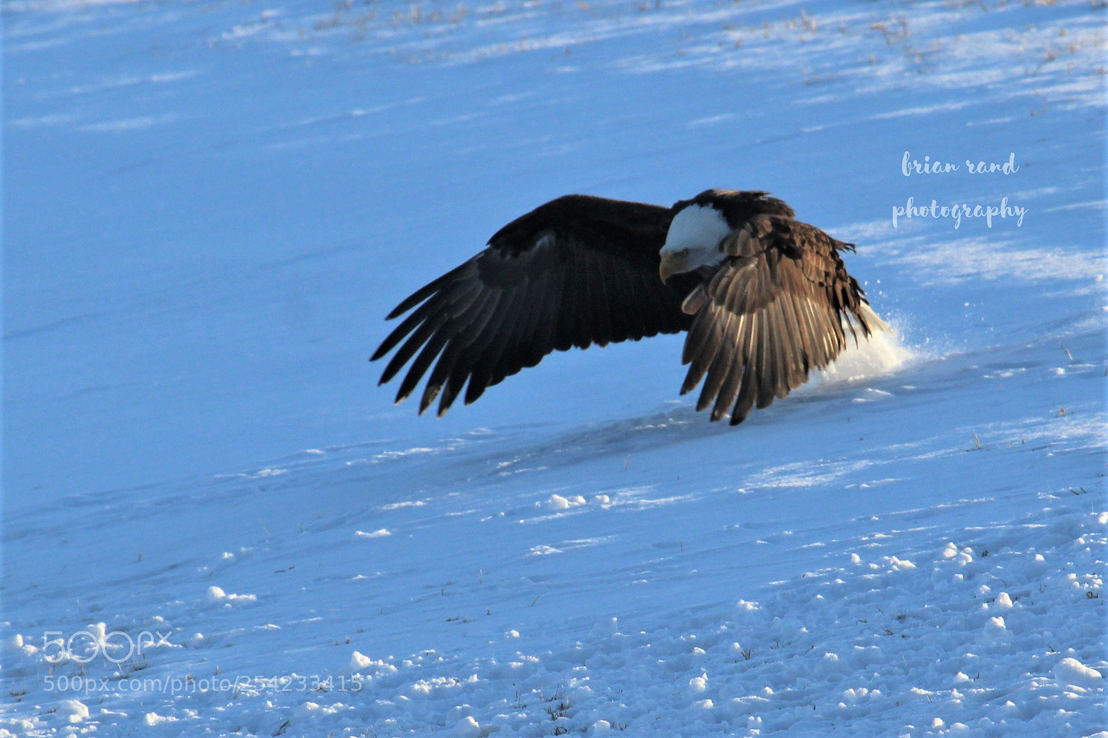Canon EOS 1200D (EOS Rebel T5 / EOS Kiss X70 / EOS Hi) sample photo. () photography