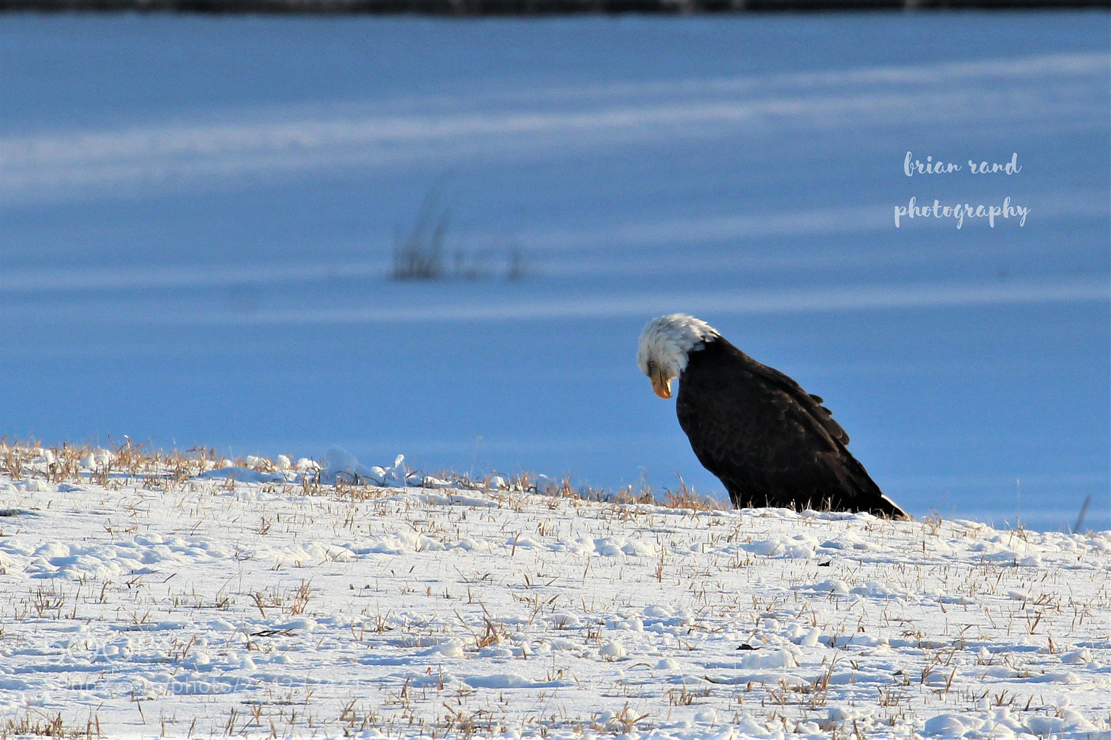 Canon EOS 1200D (EOS Rebel T5 / EOS Kiss X70 / EOS Hi) sample photo. () photography