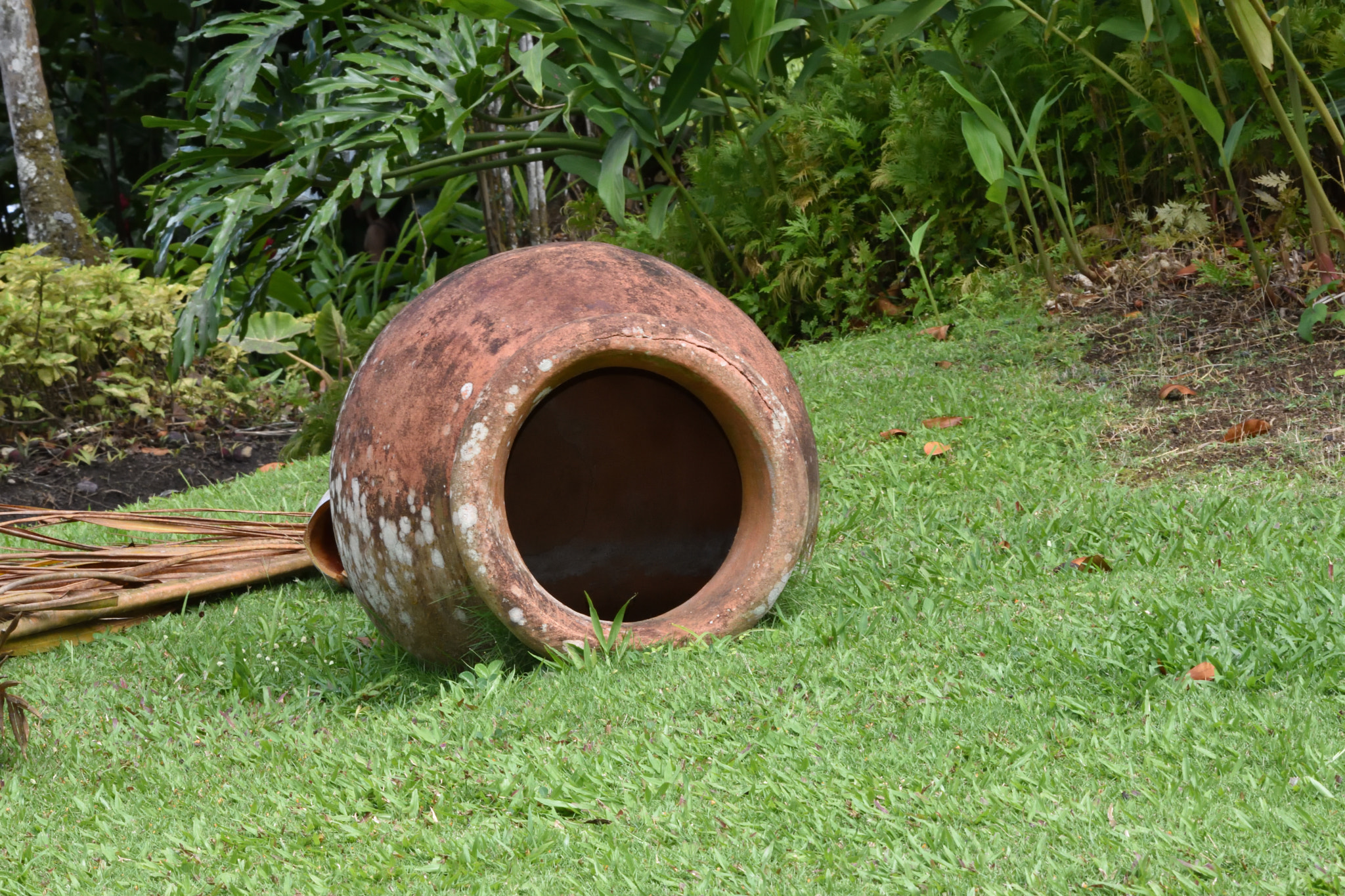 Nikon D3400 sample photo